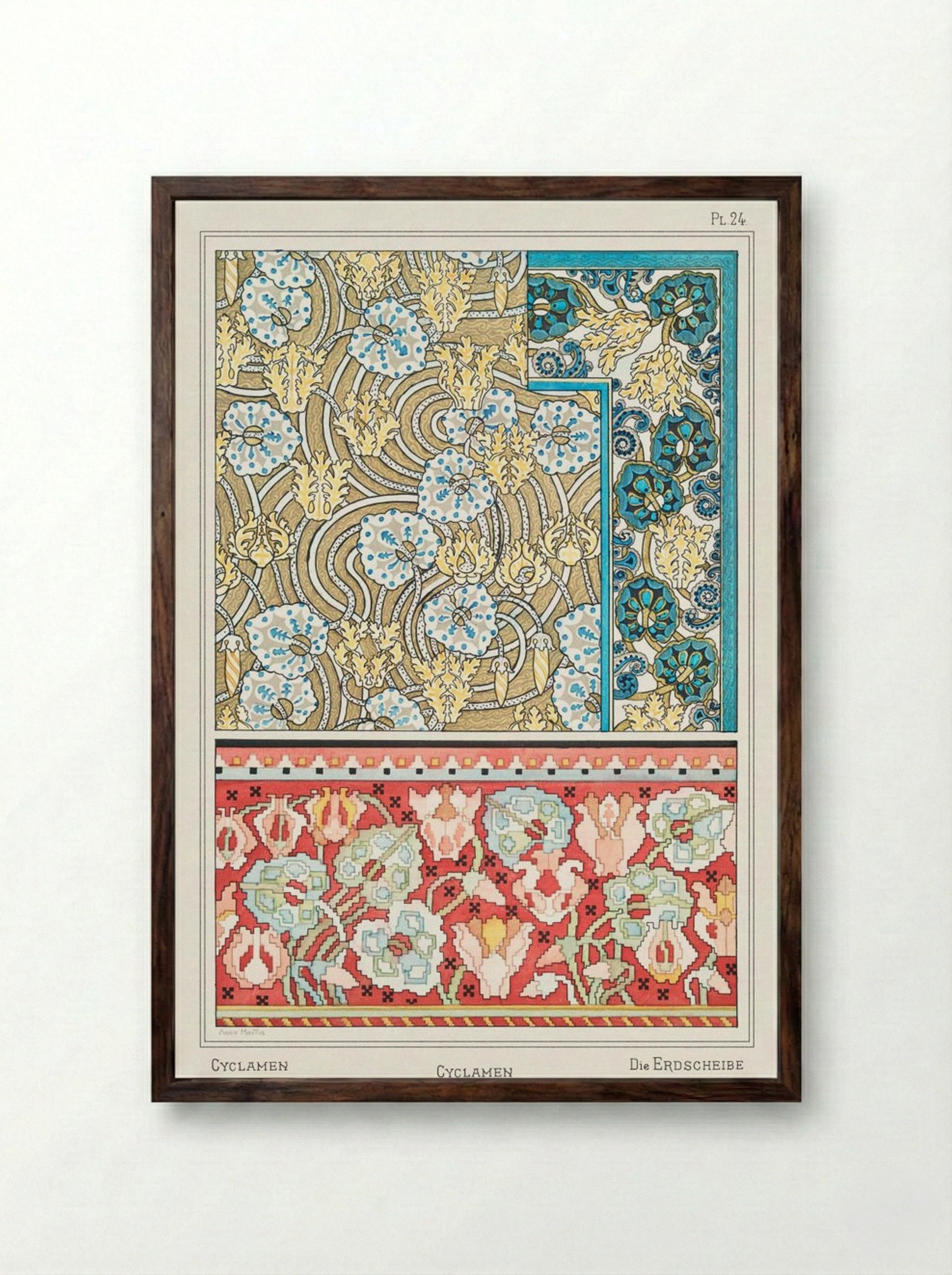 Cyclamen, from 'La Plante et ses Applications ornementales' - Maurice Pillard Verneuil - Framed Print Dark Wood