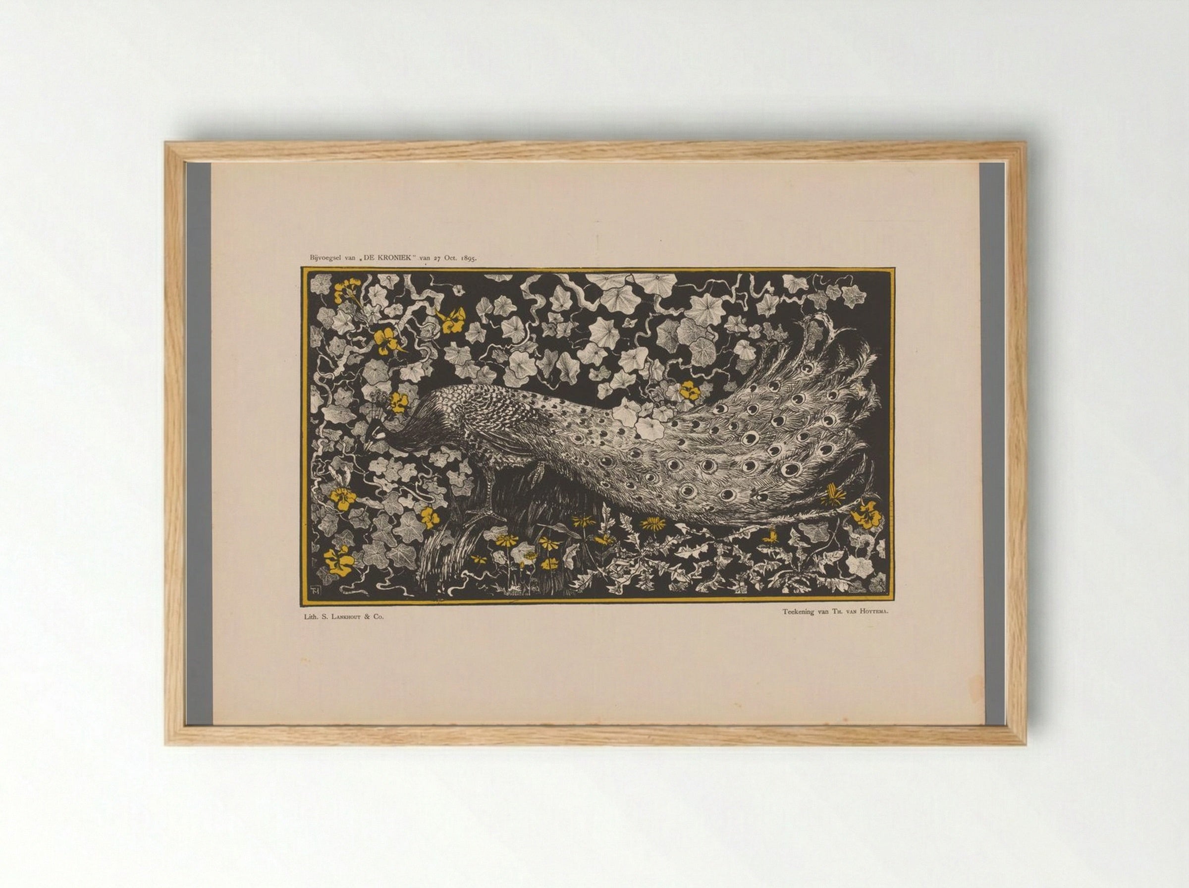 Pauw (Peacock Design) - Theo van Hoytema - Framed Print Wood