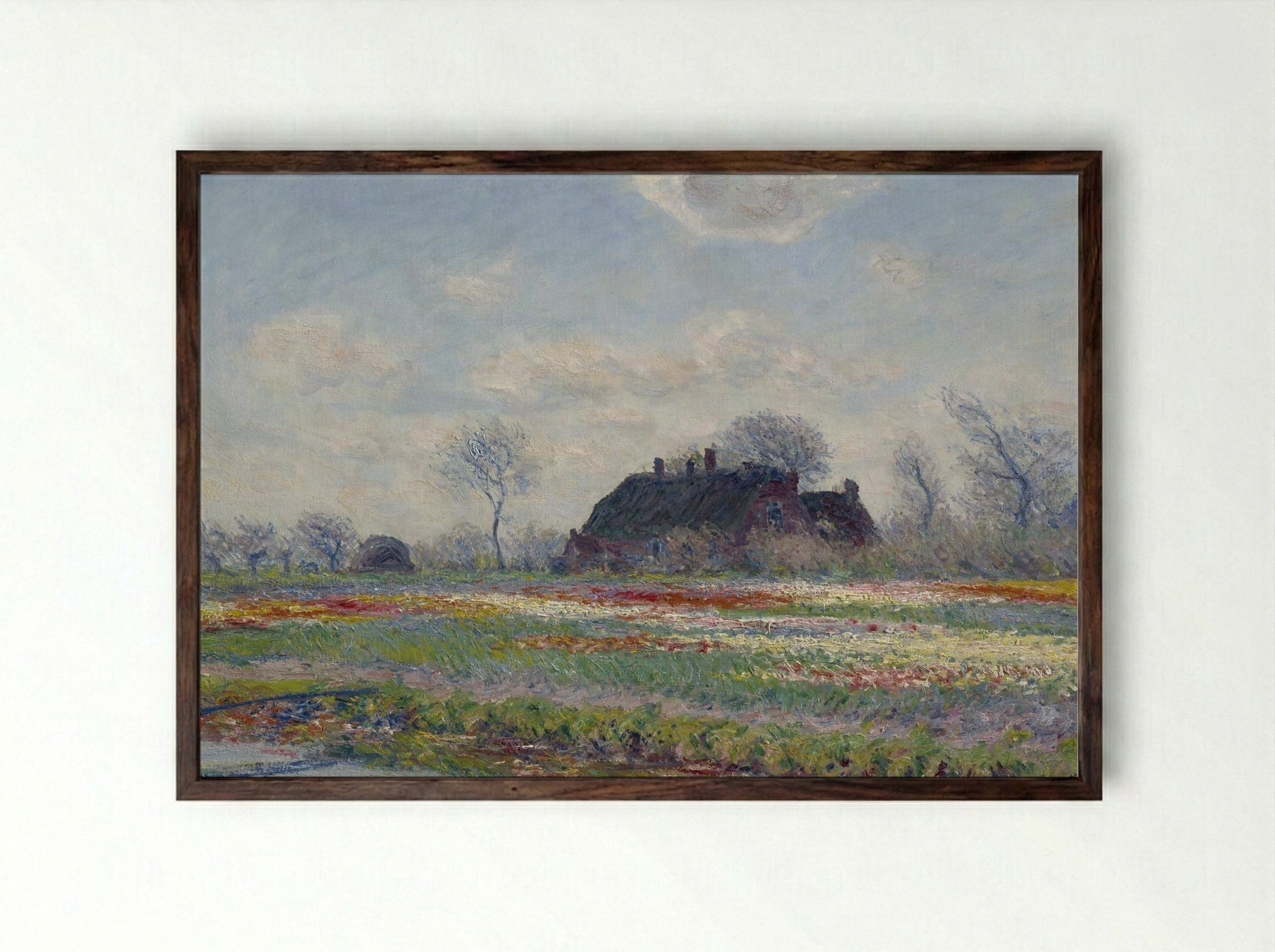 Tulip Fields at Sassenheim - Claude Monet - Framed Print Dark Wood