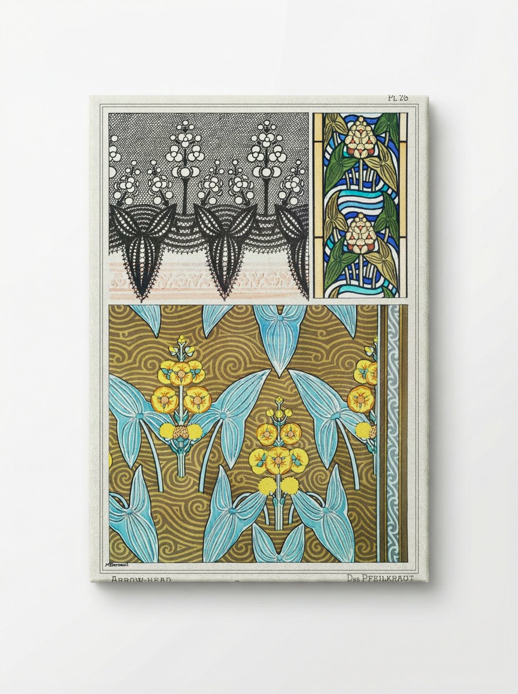 Sagittaire (Arrowhead) from La Plante et ses Applications ornementales - Maurice Pillard Verneuil - Canvas