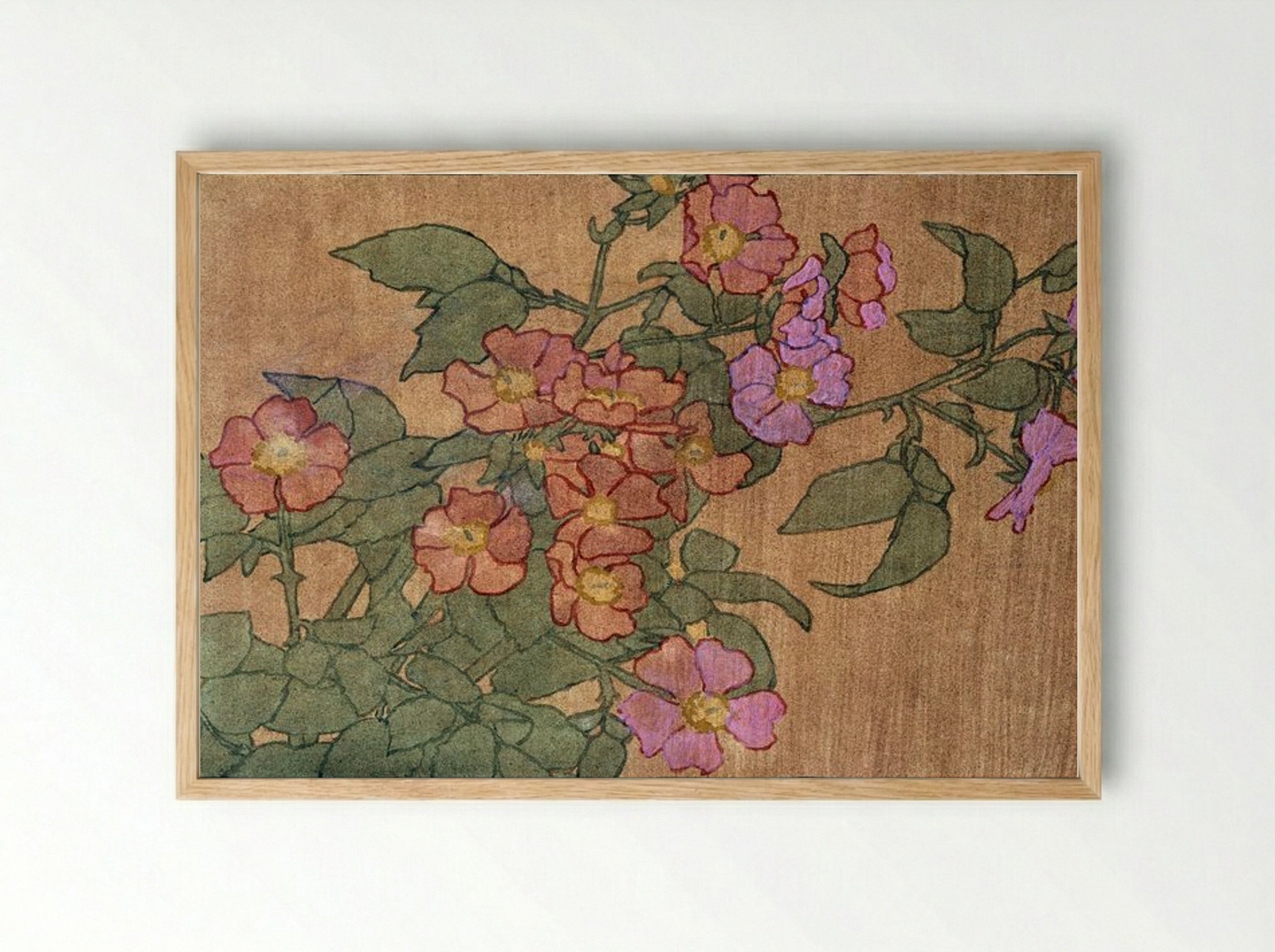 Pink Roses on Terracotta Colour Ground - Hannah Borger Overbeck - Framed Print Wood
