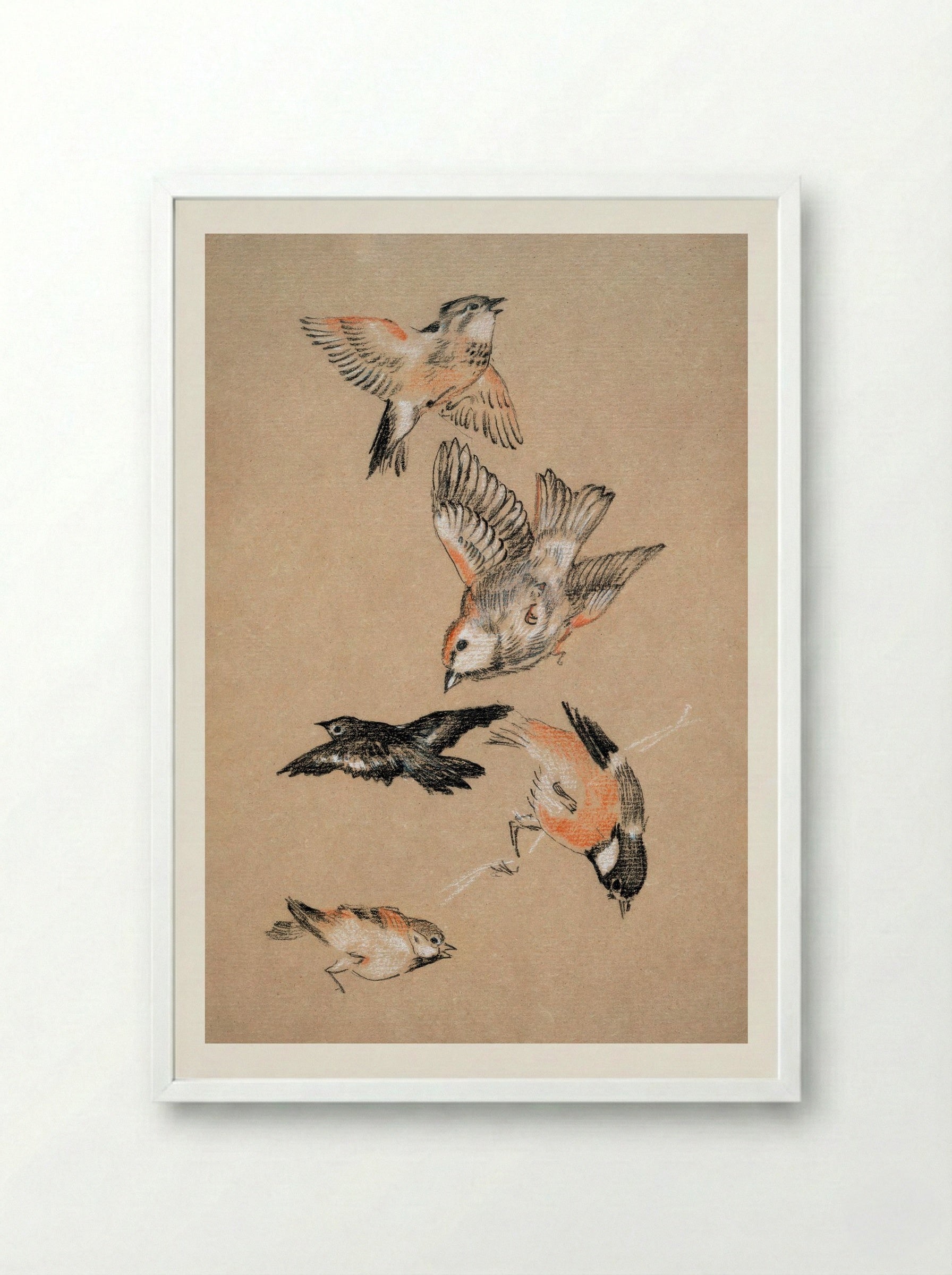 Study of Finches (for 'Love Leading the Pilgrim') - Edward Burne-Jones - Framed Print White