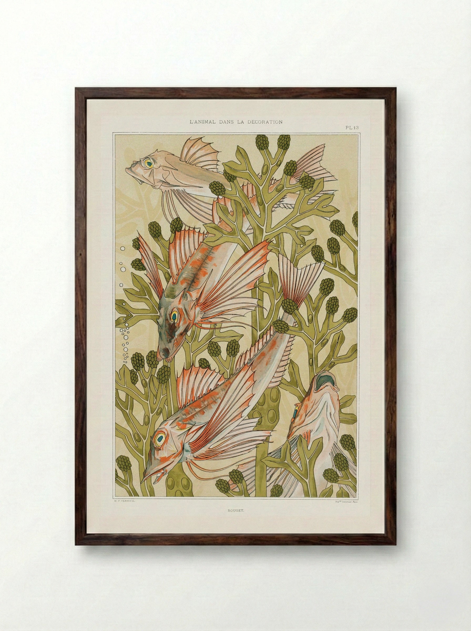 Rouget (From L'animal dans la décoration) - Maurice Pillard Verneuil - Framed Print Dark Wood