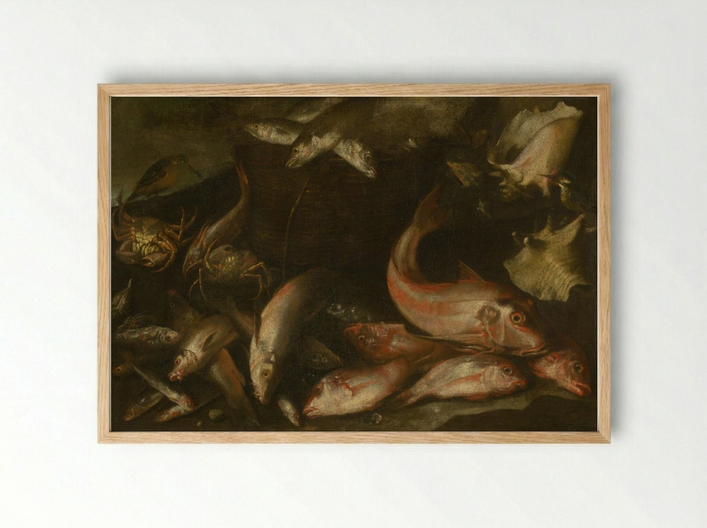 Still Life with Fish, Crabs, and Shells - Fine Art Print - Framed Print Wood