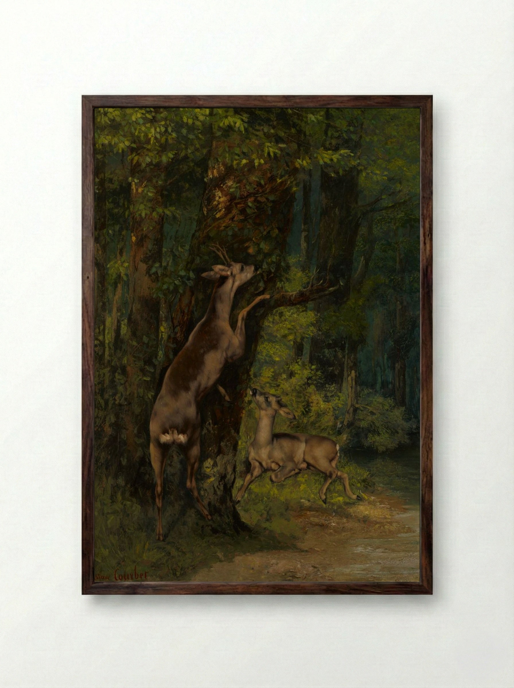 Deer in the Forest - Gustave Courbet - Framed Print Dark Wood