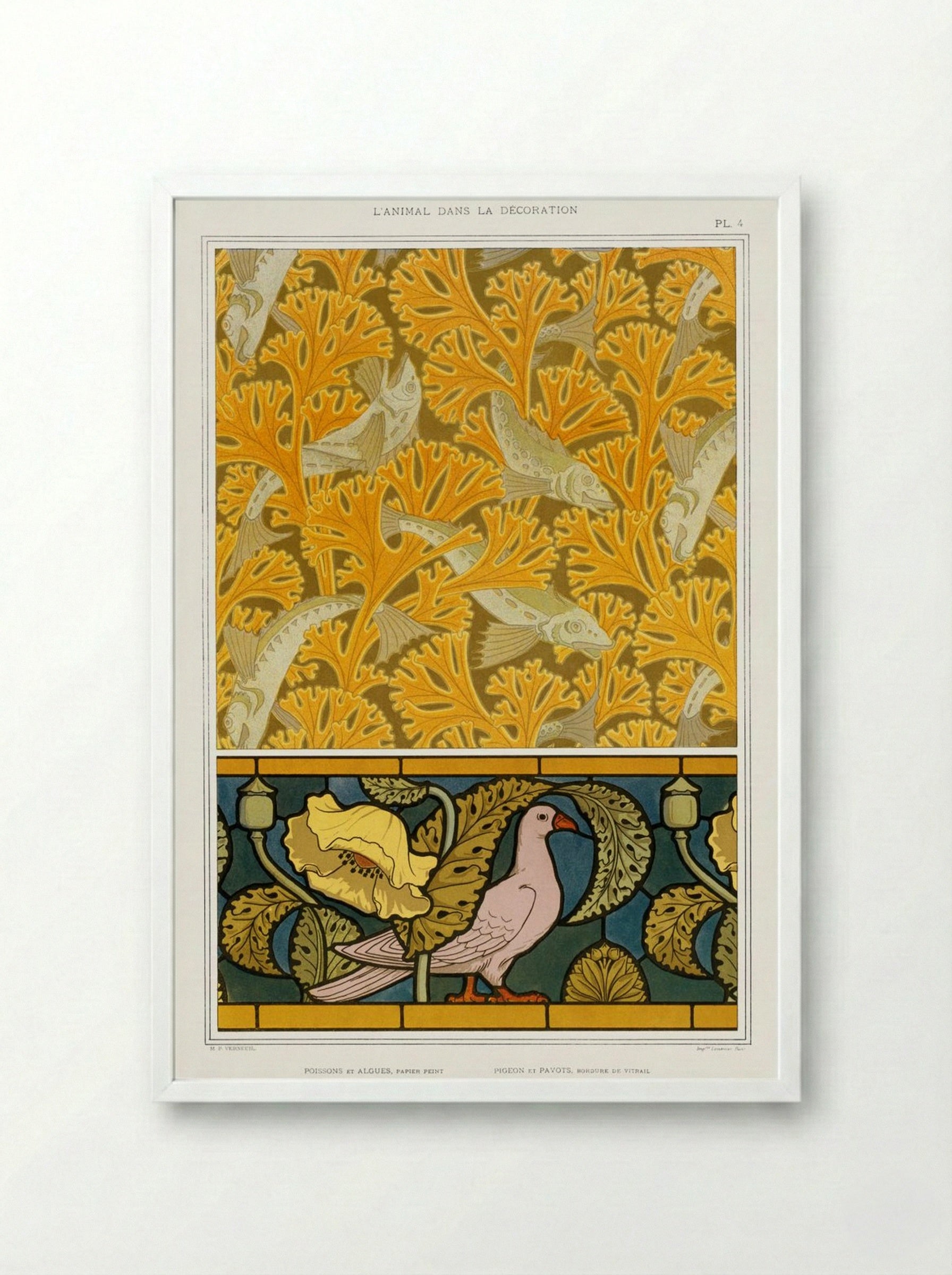 Poisson et Algues, Papier Peint; Pigeon et Pavots, Bordure de Vitrail - Maurice Pillard Verneuil - Framed Print White