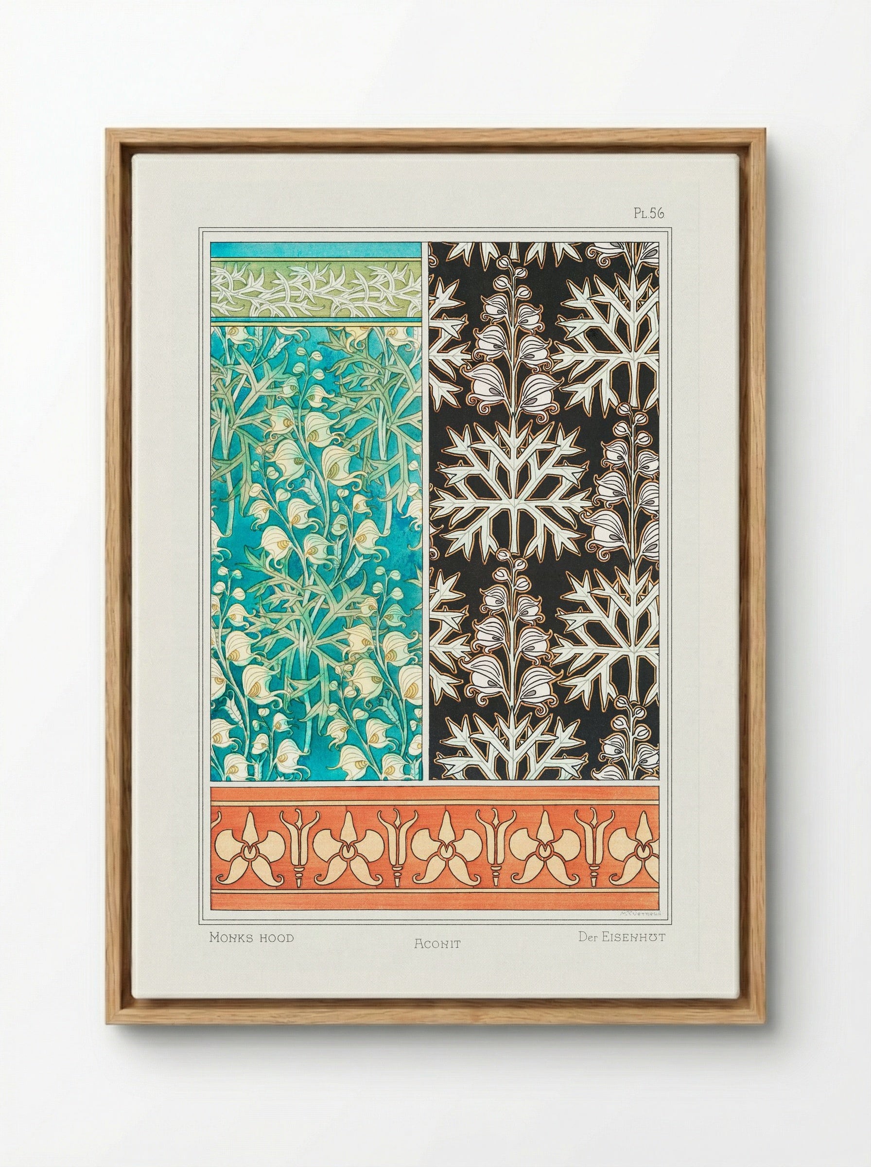 Aconite (Monkshood) from La Plante et ses Applications ornementales - Maurice Pillard Verneuil - Framed Canvas Wood