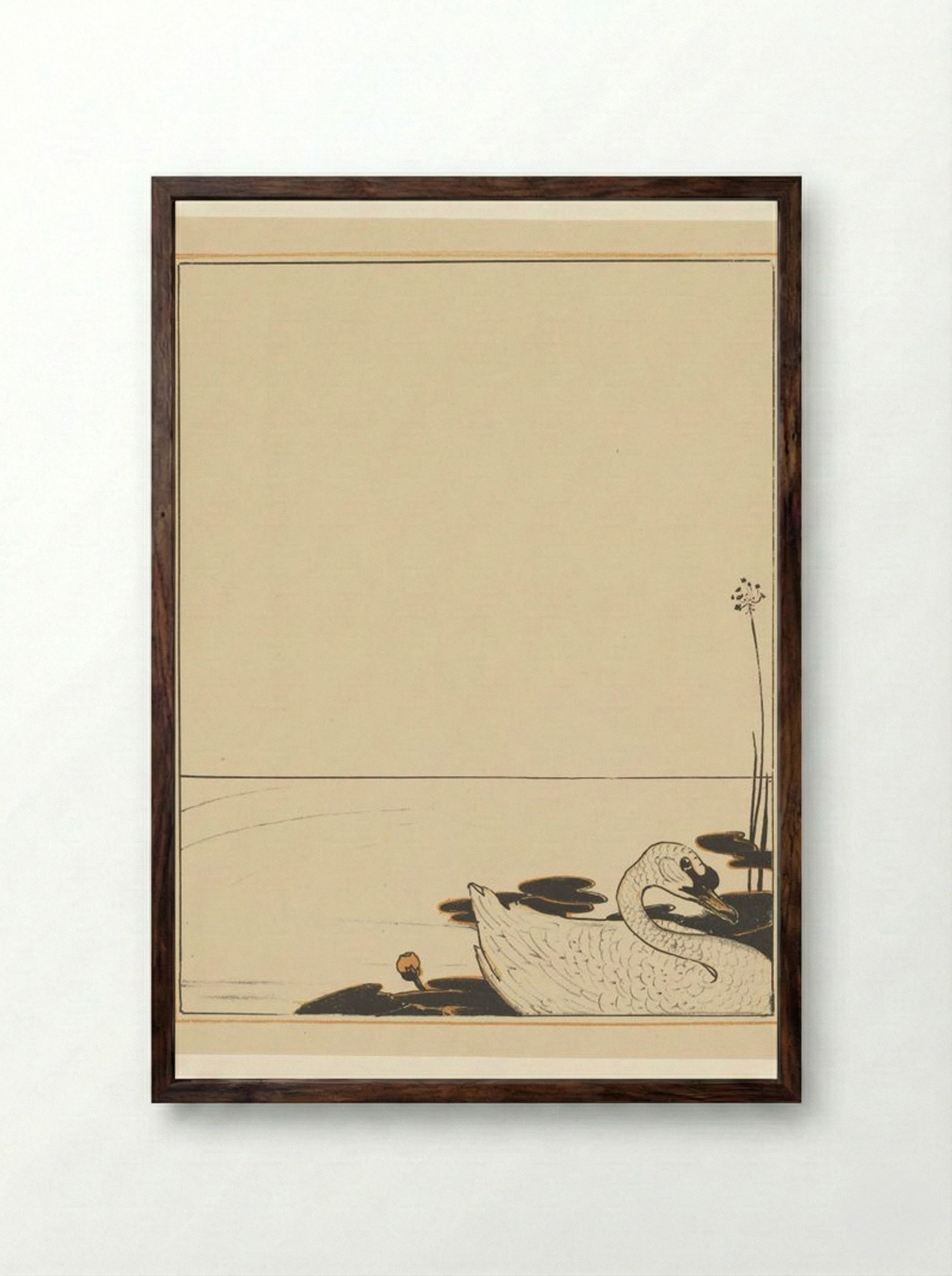 Swimming Swan - Theo van Hoytema - Framed Print Dark Wood