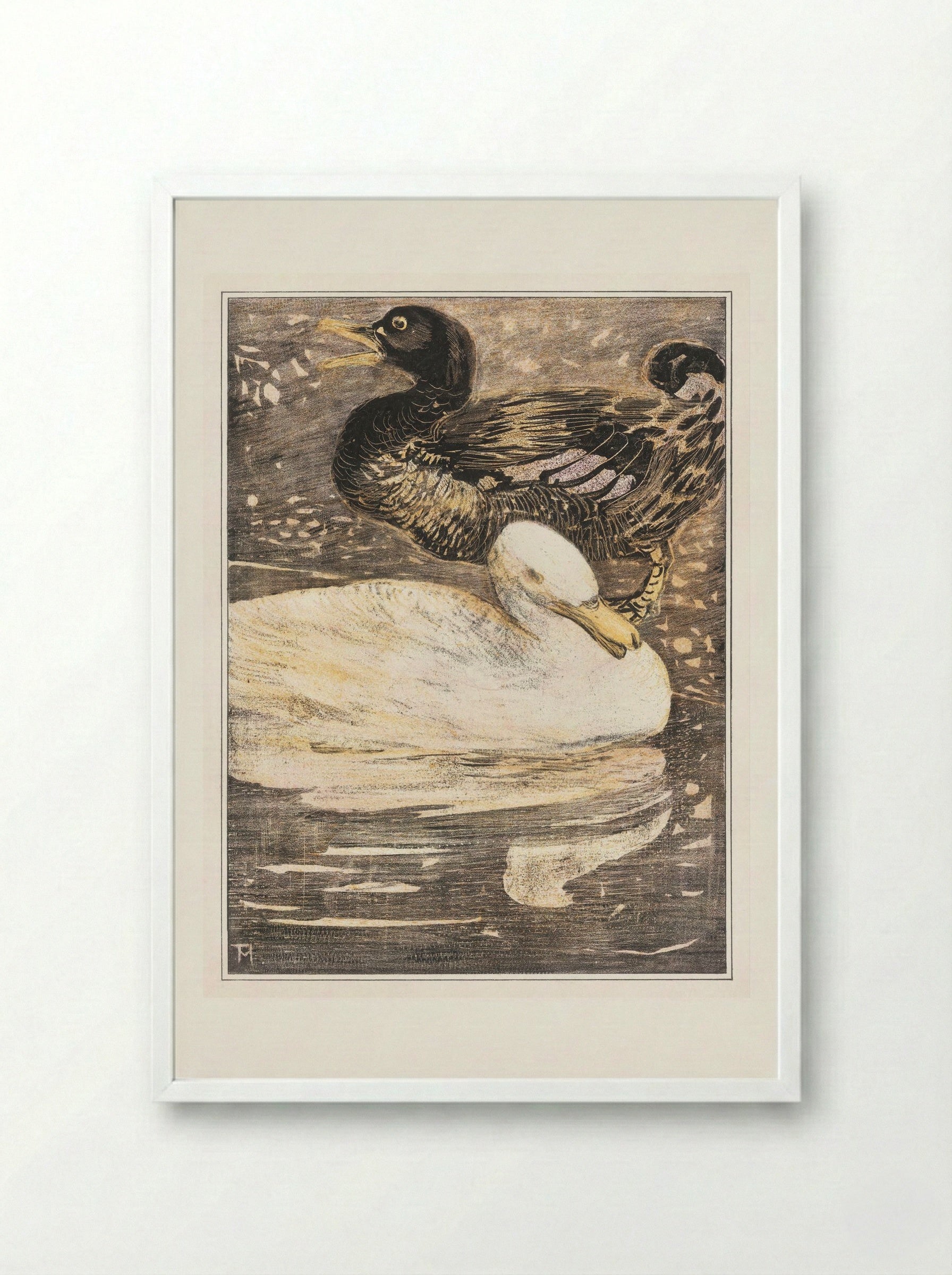 Two Ducks - Theo van Hoytema - Framed Print White