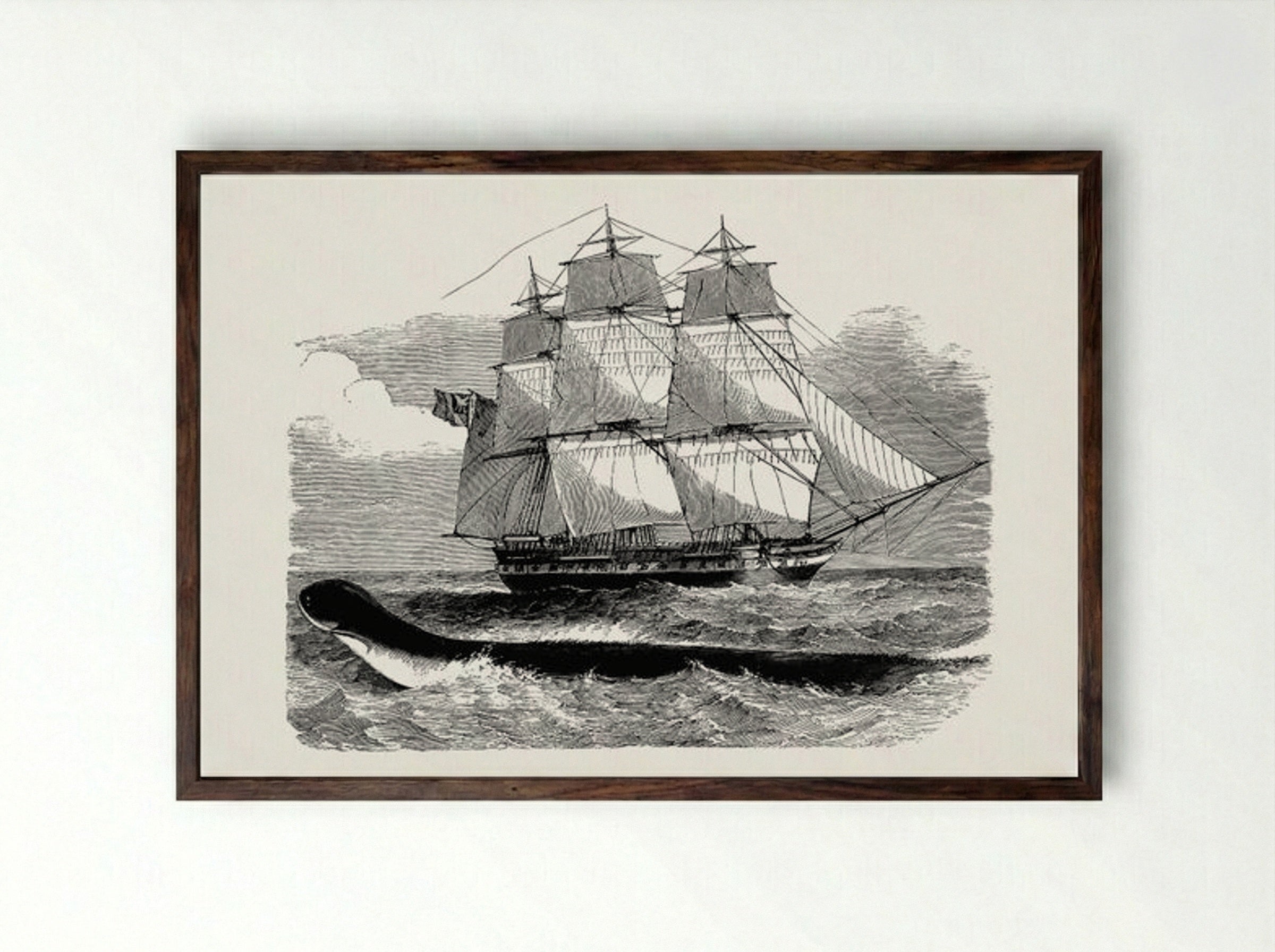 The Great Sea-Serpent, When First Seen From H.M.S. Daedalus - Fine Art Print - Framed Print Dark Wood