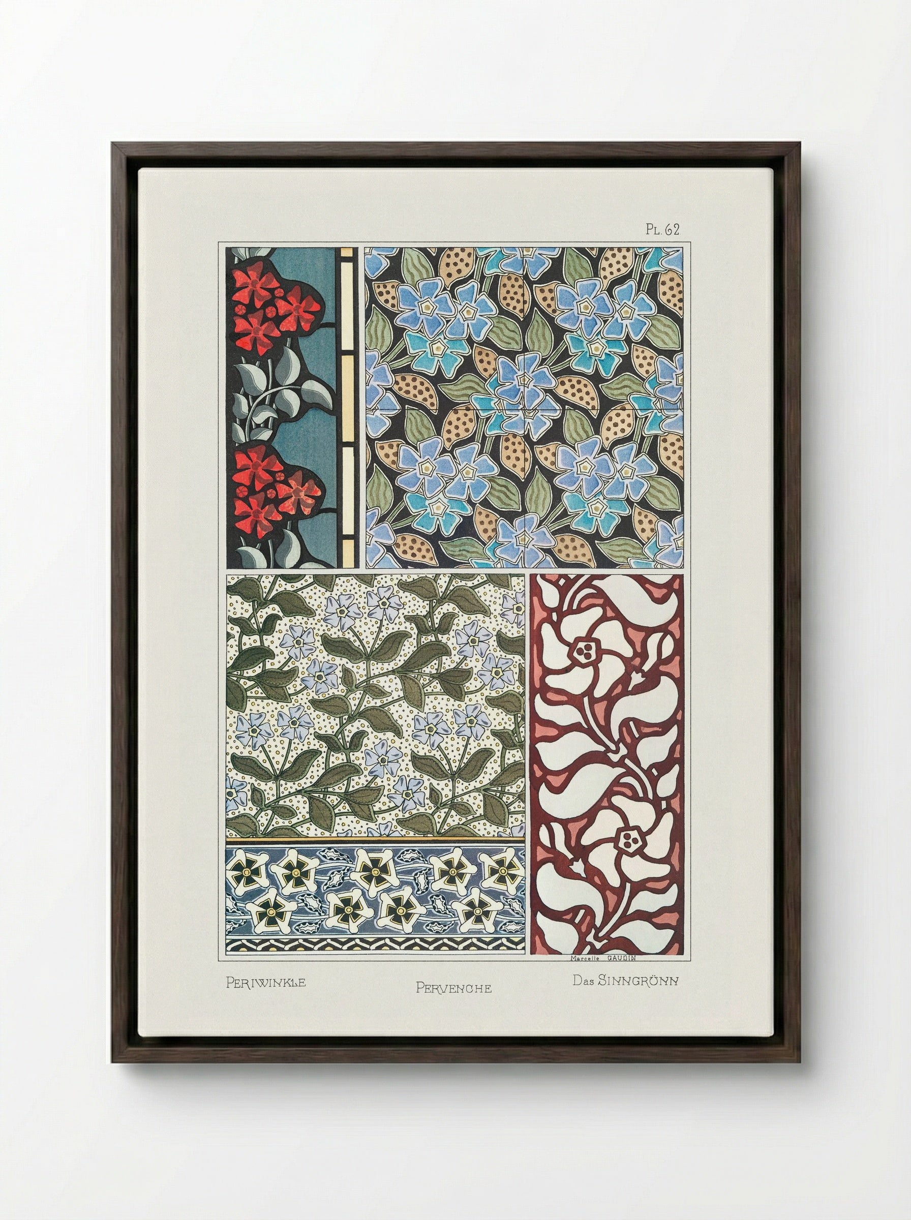 Pervenche (Periwinkle) from La Plante et ses Applications ornementales - Maurice Pillard Verneuil - Framed Canvas Dark Wood
