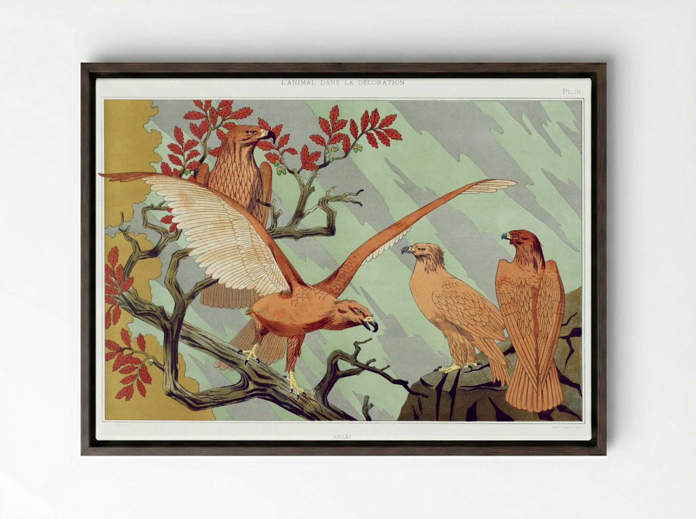 Aigles (Eagles) from L'animal dans la décoration - Maurice Pillard Verneuil - Framed Canvas Dark Wood