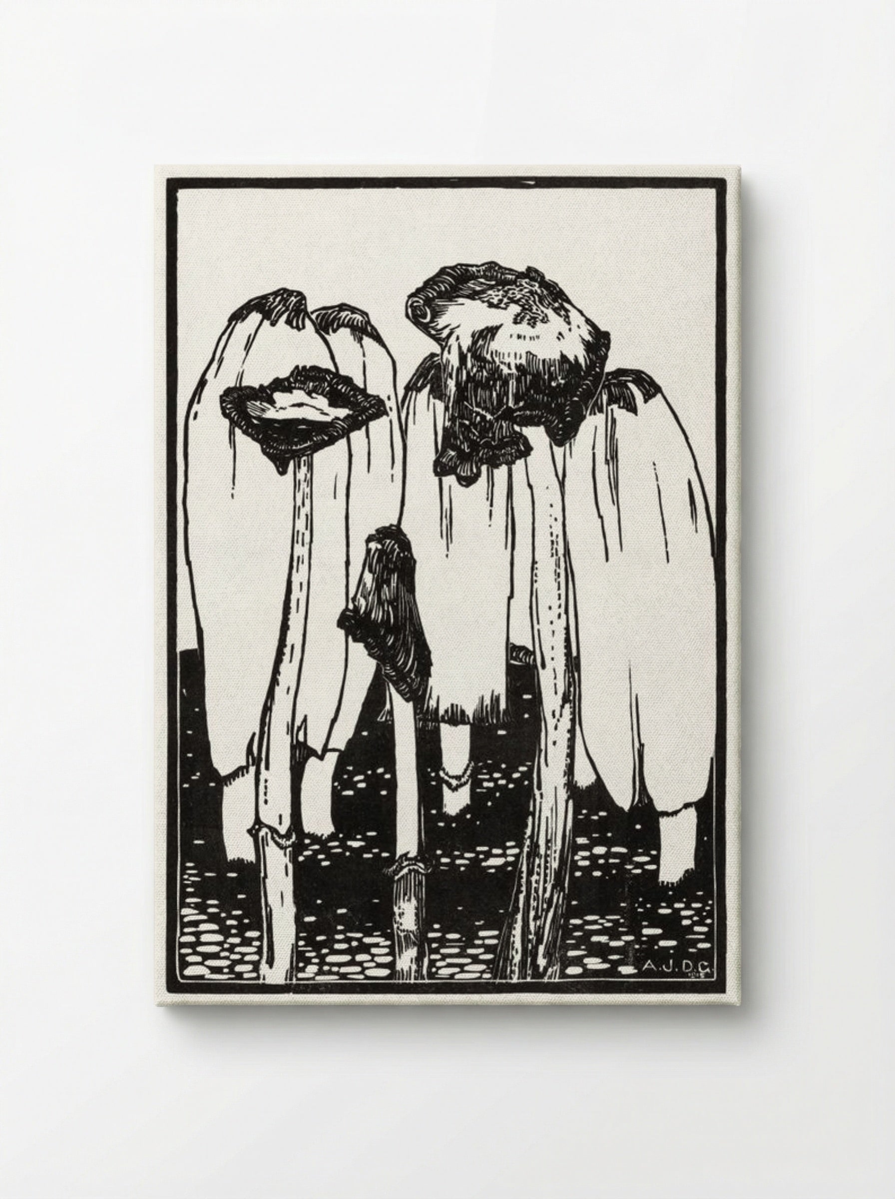 Ink Mushrooms - Julie de Graag - Canvas