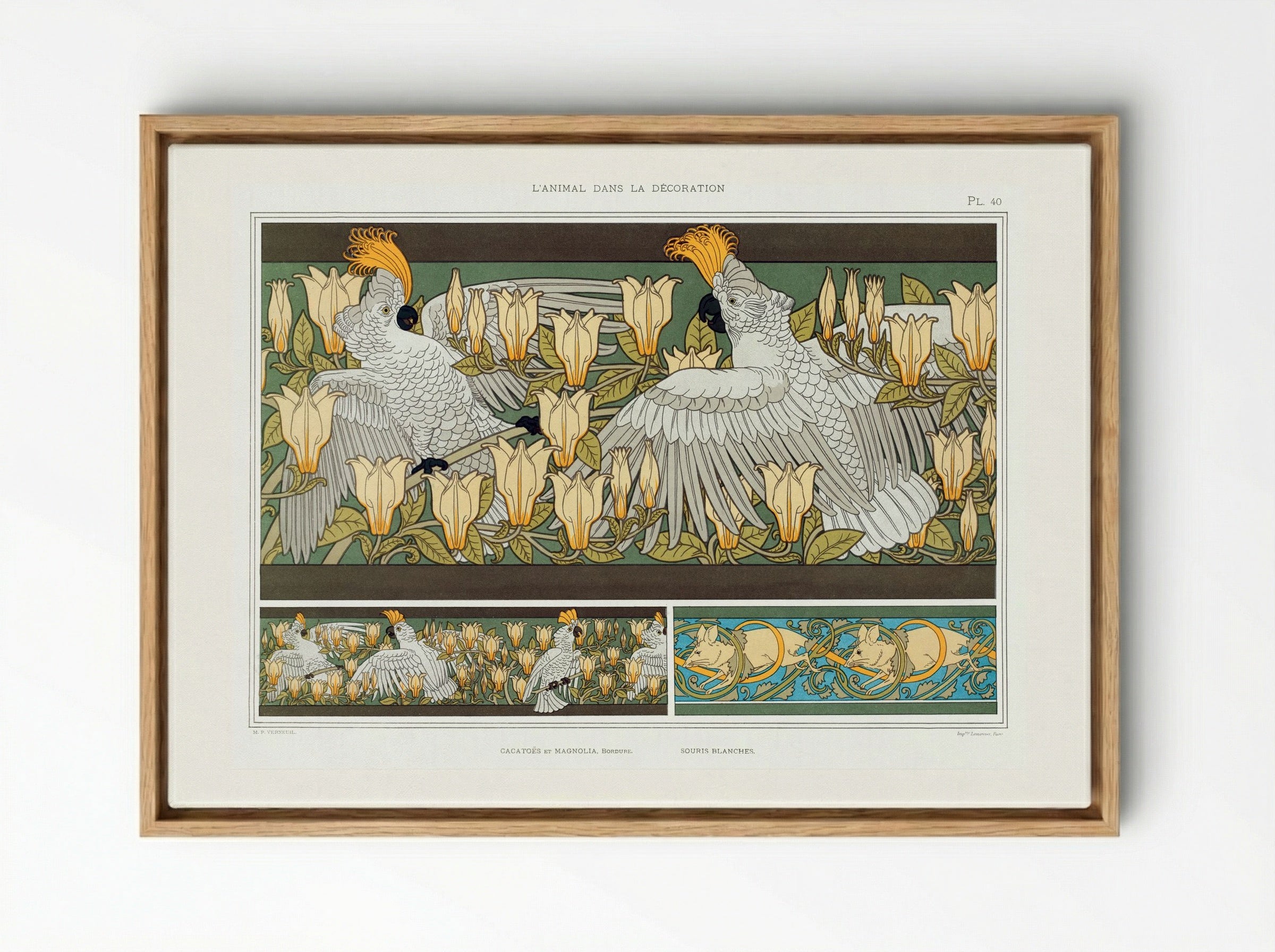Cacatoès et Magnolia, Bordure; Souris Blanches - Maurice Pillard Verneuil - Framed Canvas Wood