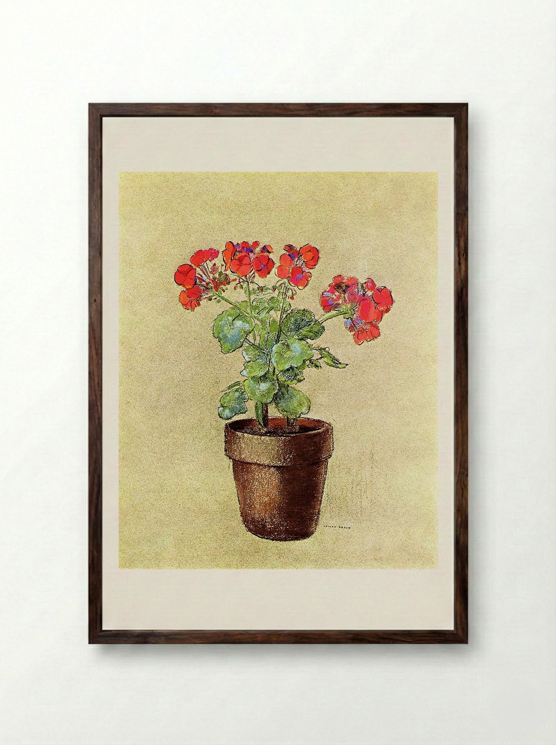 Geraniums - Fritz Reiss - Framed Print Dark Wood