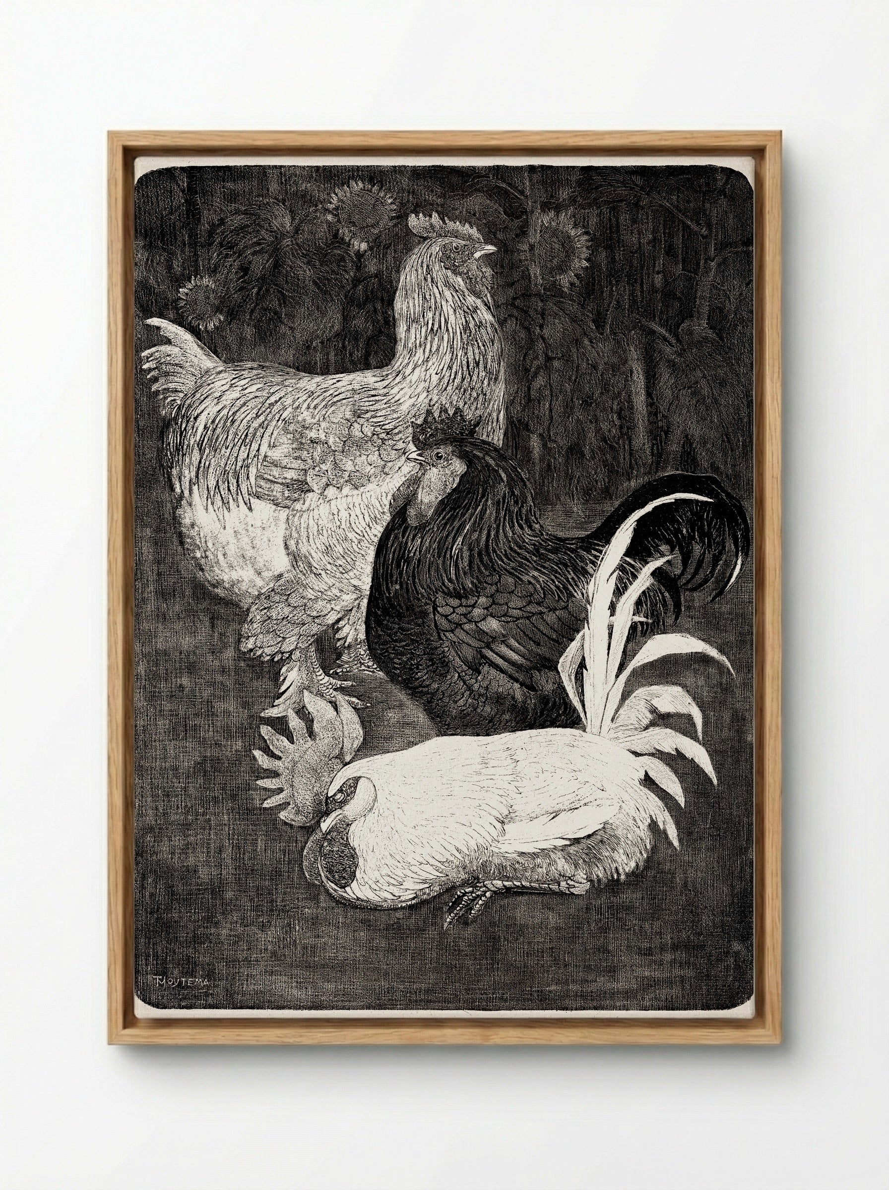 Drie Hanen (Three Roosters) - Theo van Hoytema - Framed Canvas Wood