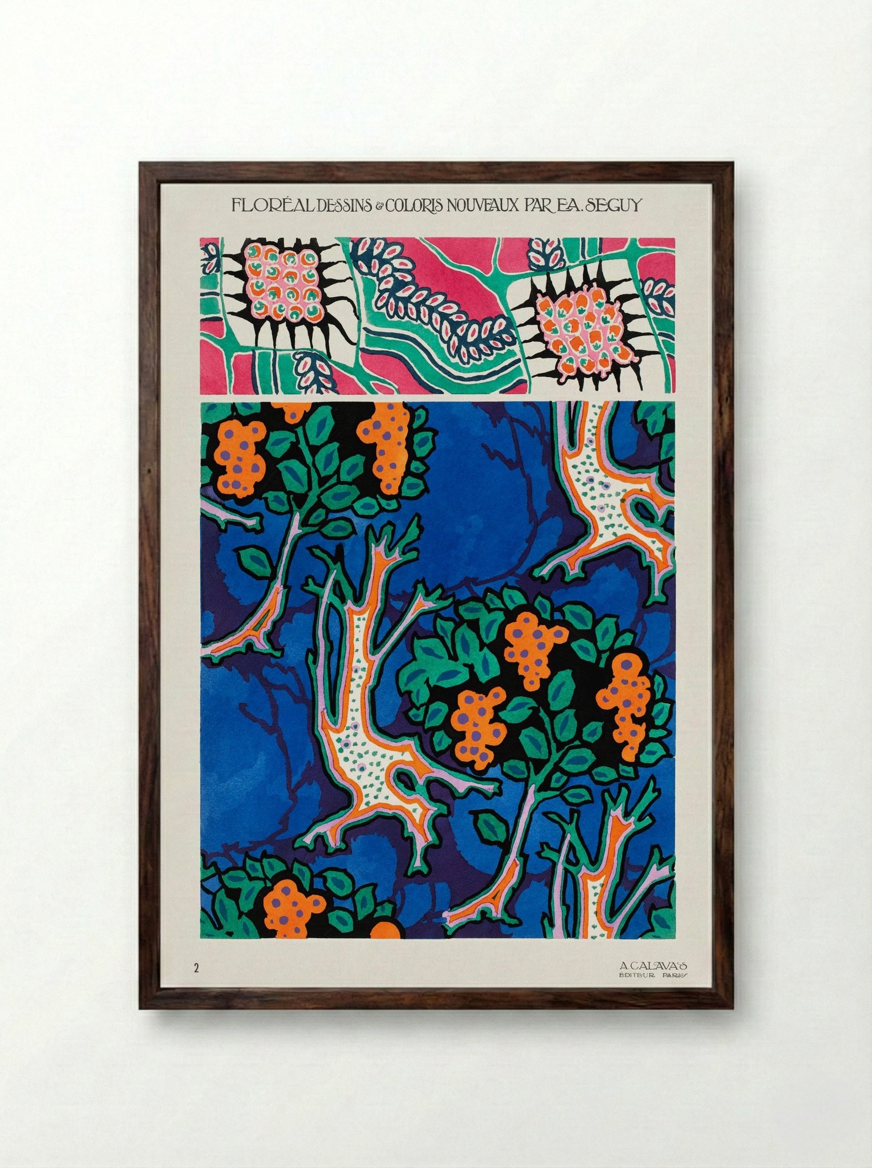 Floral Designs and Colour Schemes (Plate 4) - Émile-Allain Séguy - Framed Print Dark Wood