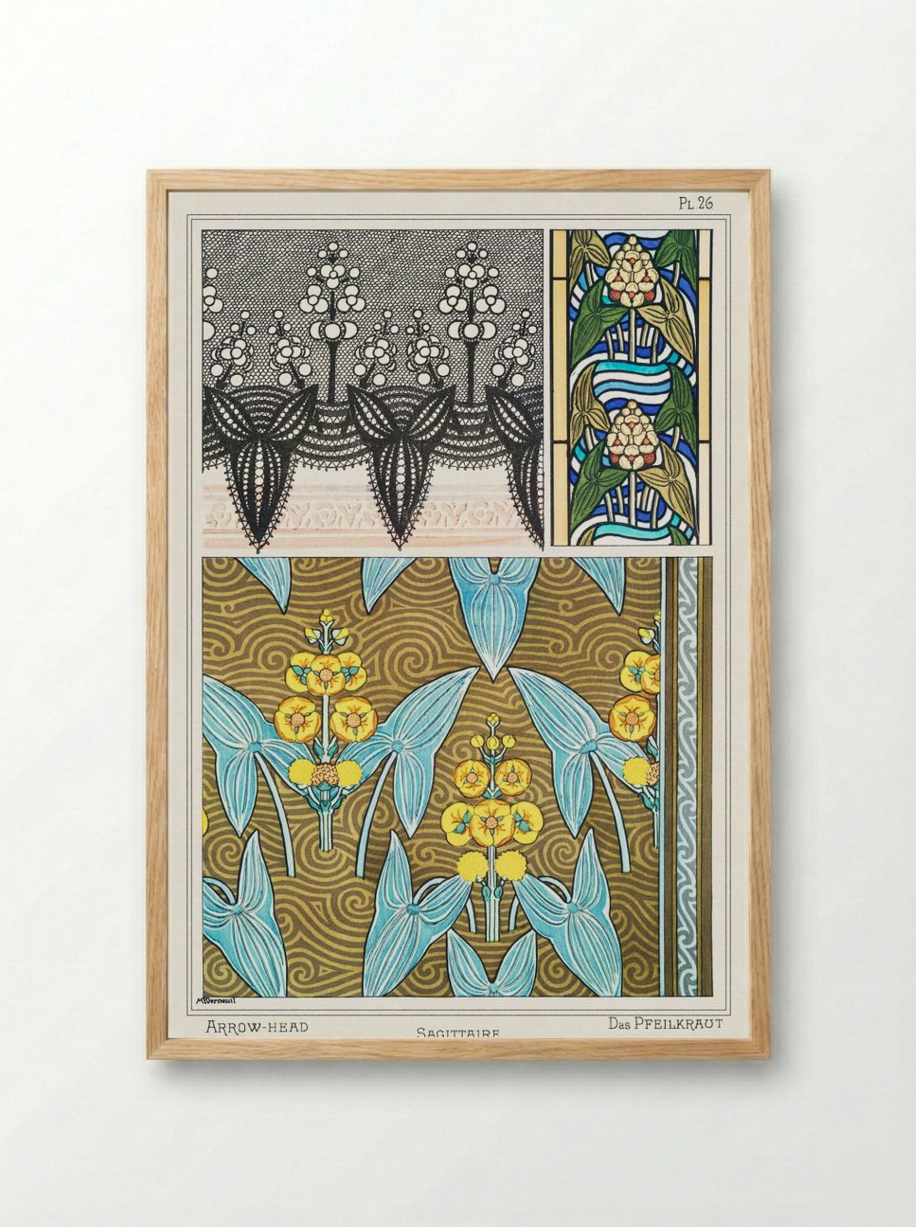 Sagittaire (Arrowhead) from La Plante et ses Applications ornementales - Maurice Pillard Verneuil - Framed Print Wood