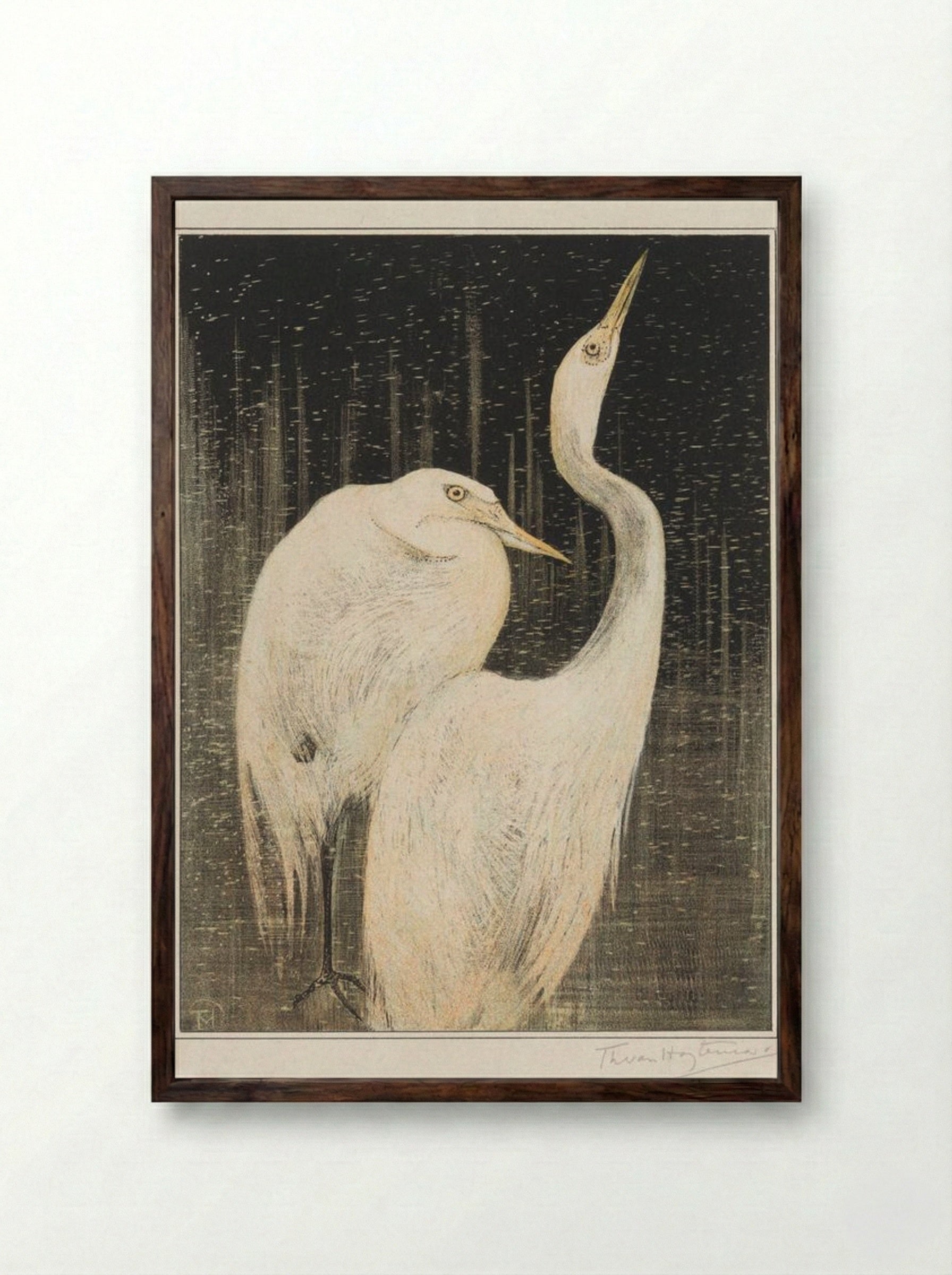 Two Egrets - Theo van Hoytema - Framed Print Dark Wood