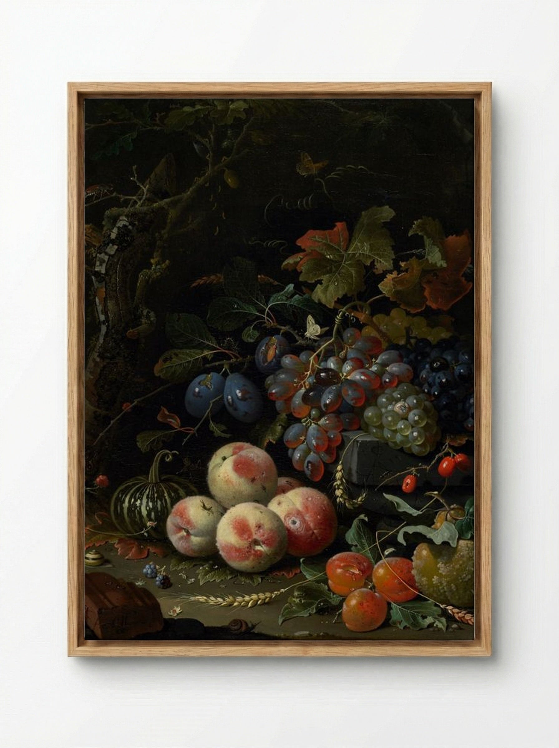 Still Life with Fruit, Foliage, and Insects - Abraham Mignon - Framed Canvas Wood