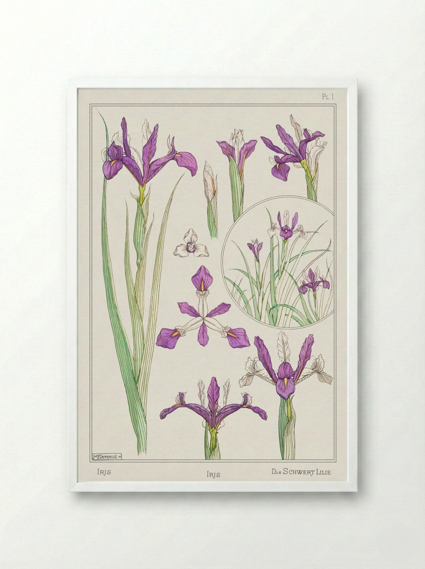 Iris, from La Plante et ses Applications ornementales - Maurice Pillard Verneuil - Framed Print White