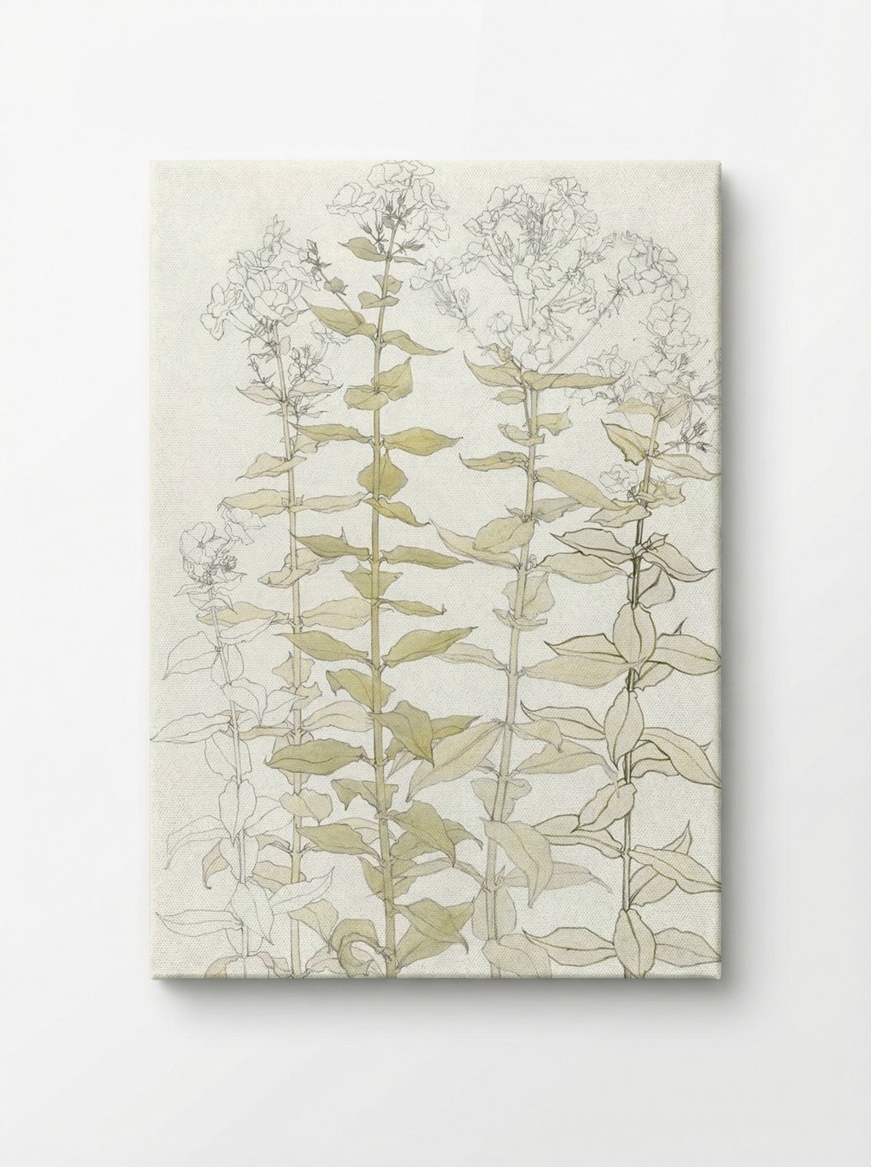 Phlox (Colour Sketch) - Julie de Graag - Canvas