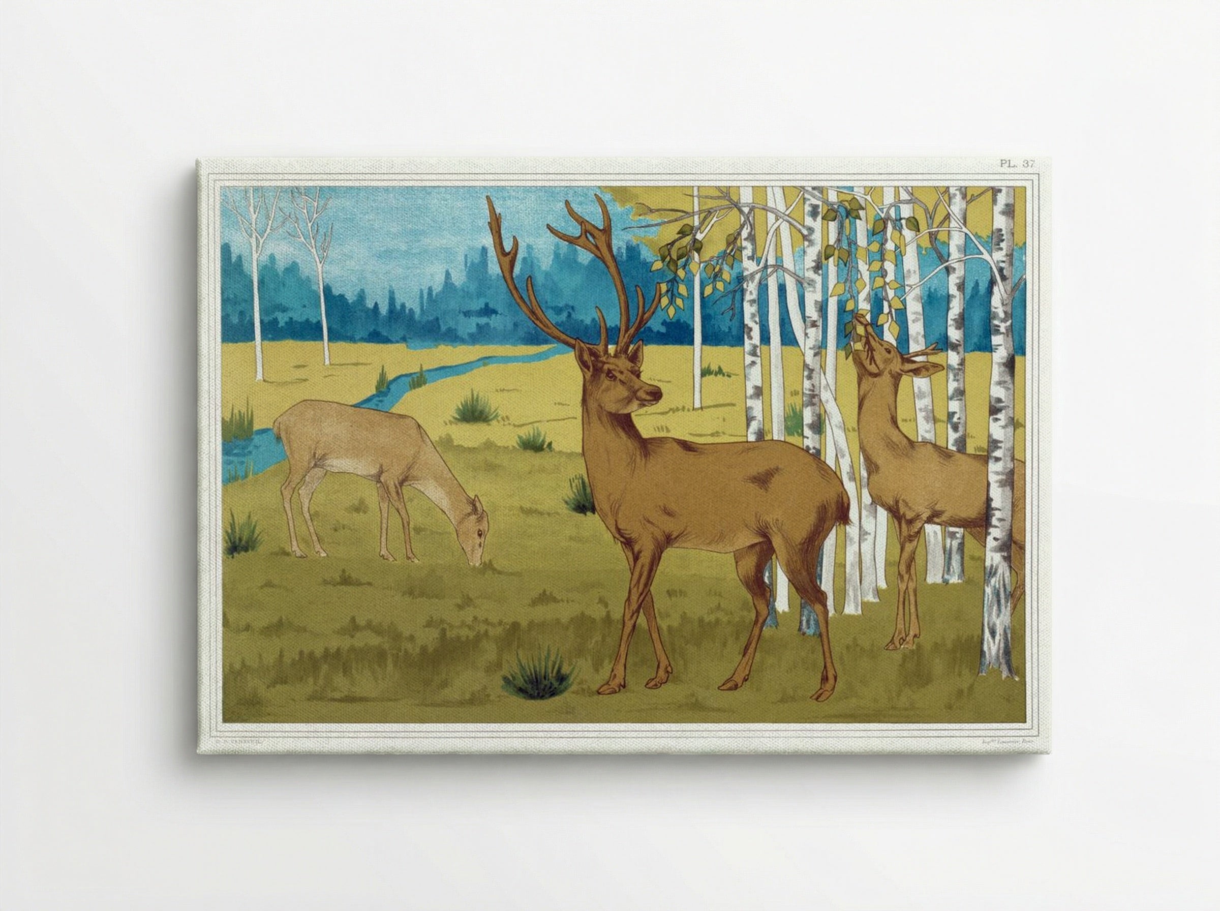 Cerfs (Deer) from L'animal dans la décoration - Maurice Pillard Verneuil - Canvas