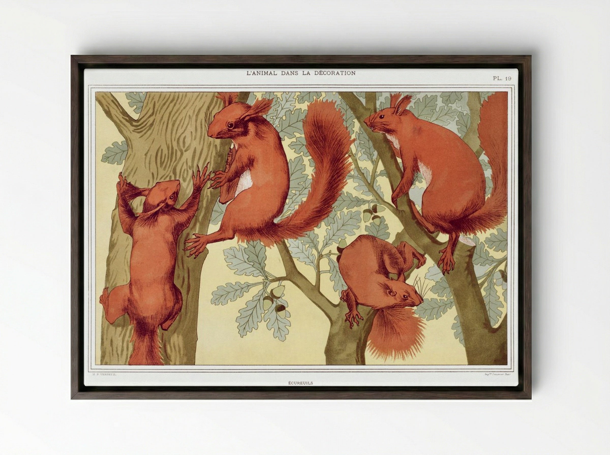 Écureuils (Squirrels) from L'animal dans la décoration - Maurice Pillard Verneuil - Framed Canvas Dark Wood