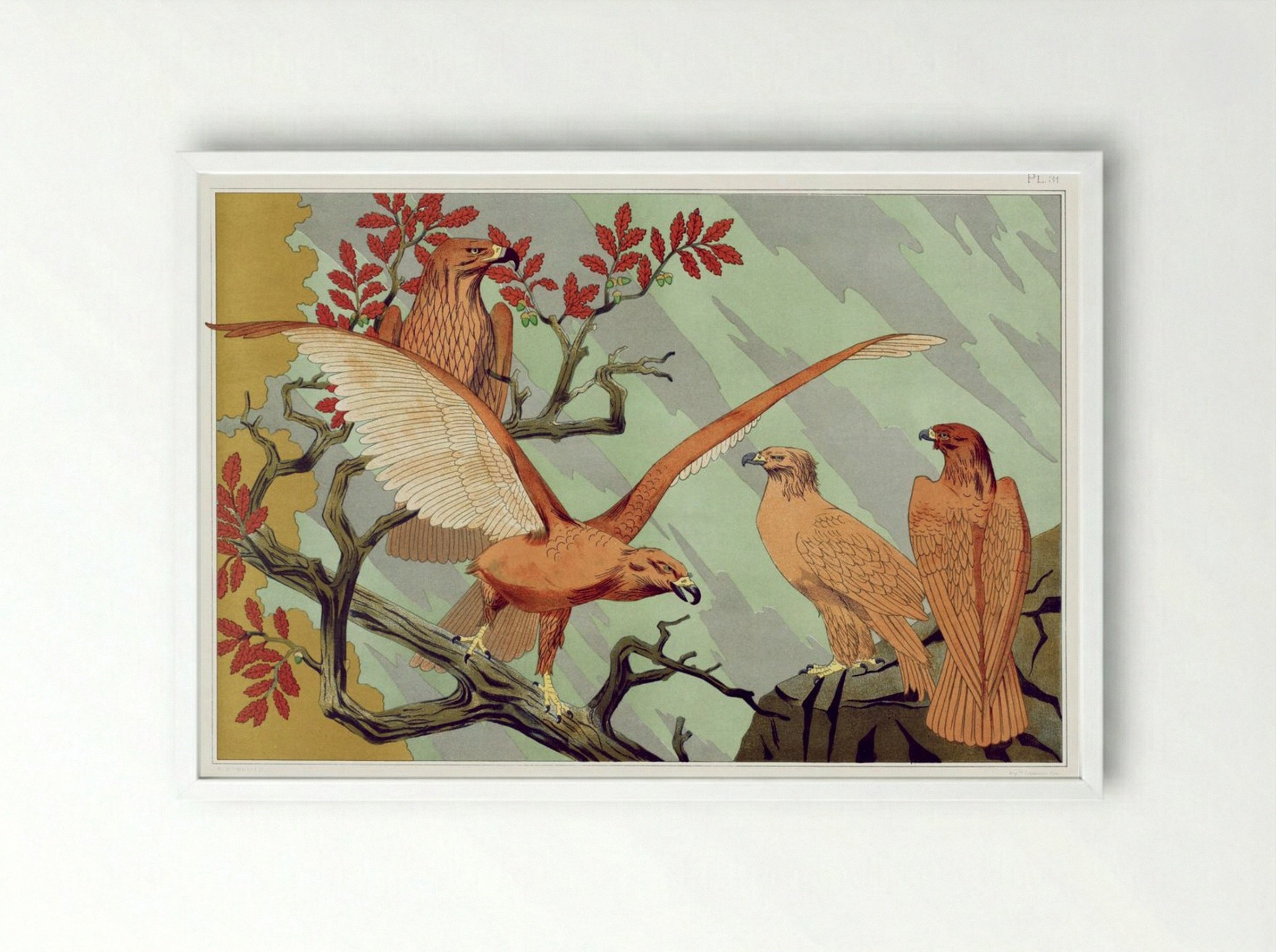 Aigles (Eagles) from L'animal dans la décoration - Maurice Pillard Verneuil - Framed Print White
