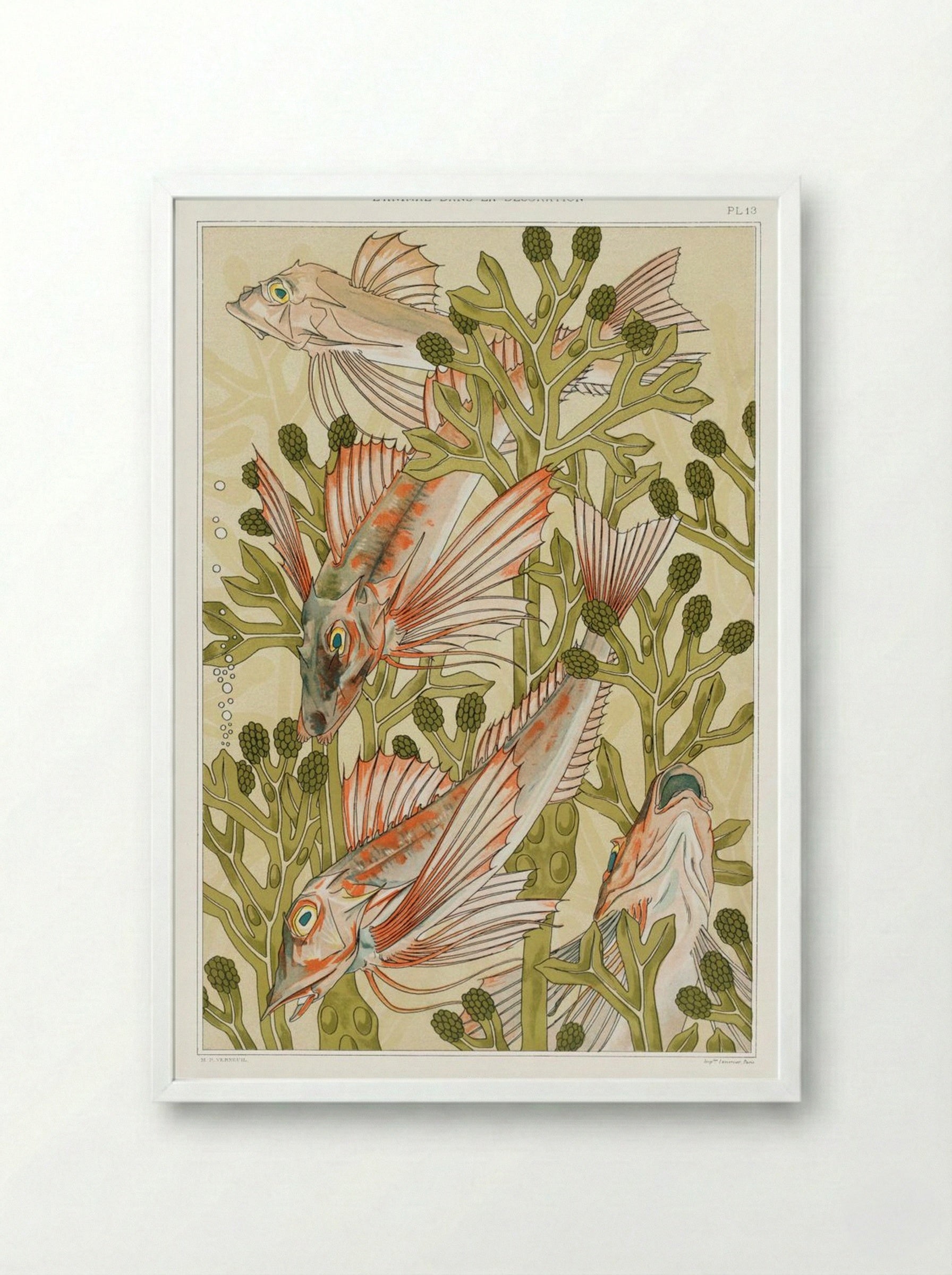 Rouget (From L'animal dans la décoration) - Maurice Pillard Verneuil - Framed Print White