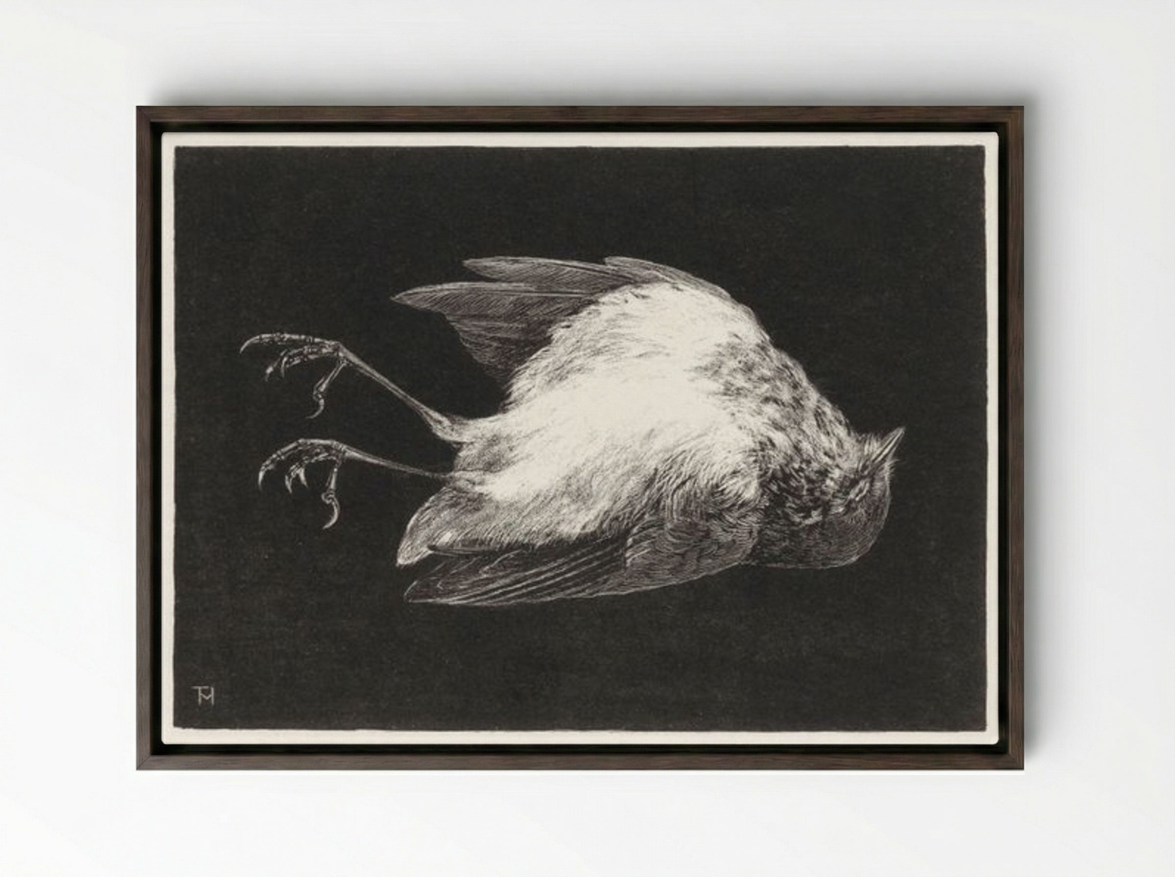 Dood Roodborstje (Dead Robin) - Theo van Hoytema - Framed Canvas Dark Wood