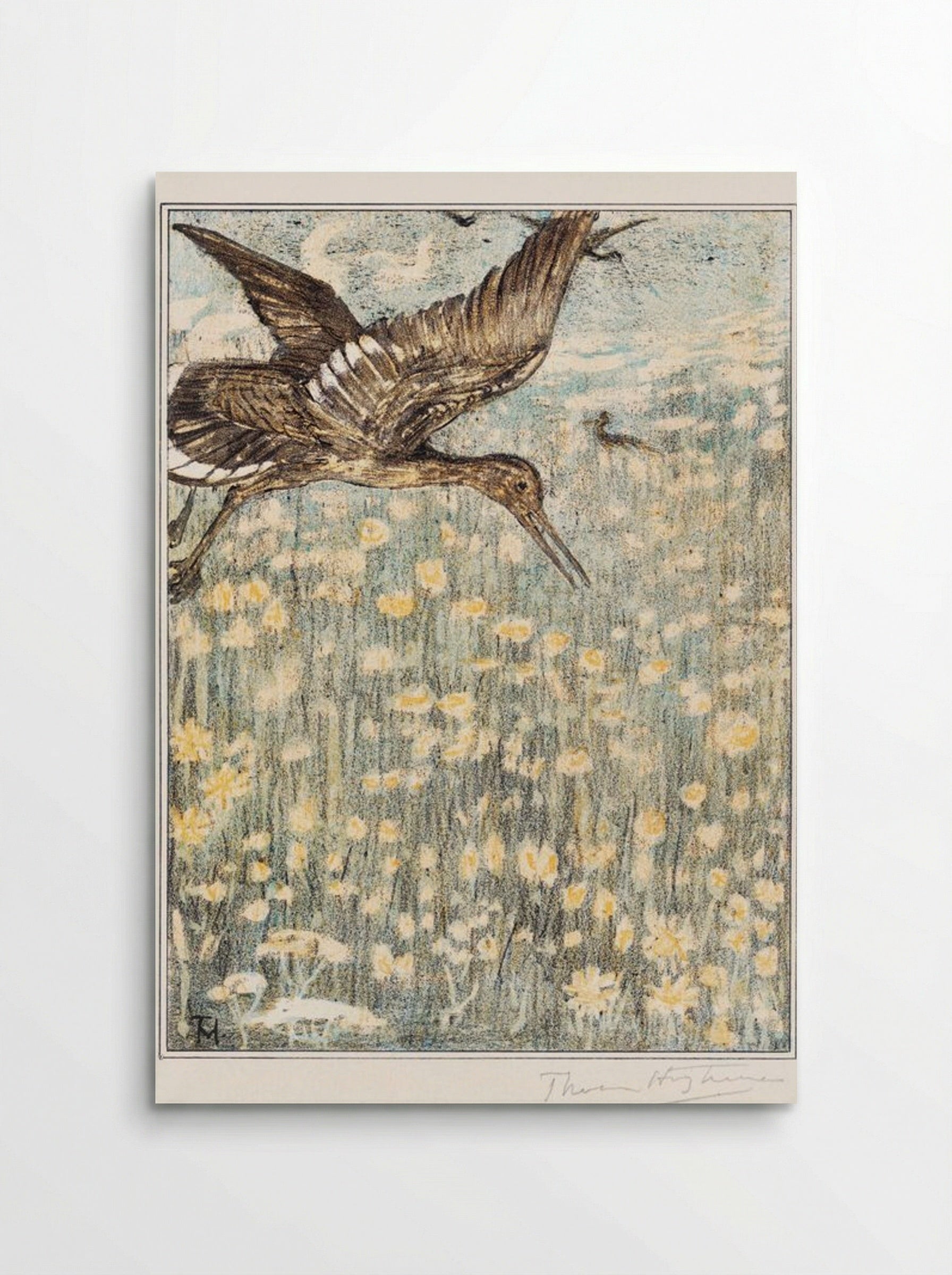 Tureluur (Redshank) - Theo van Hoytema - Poster