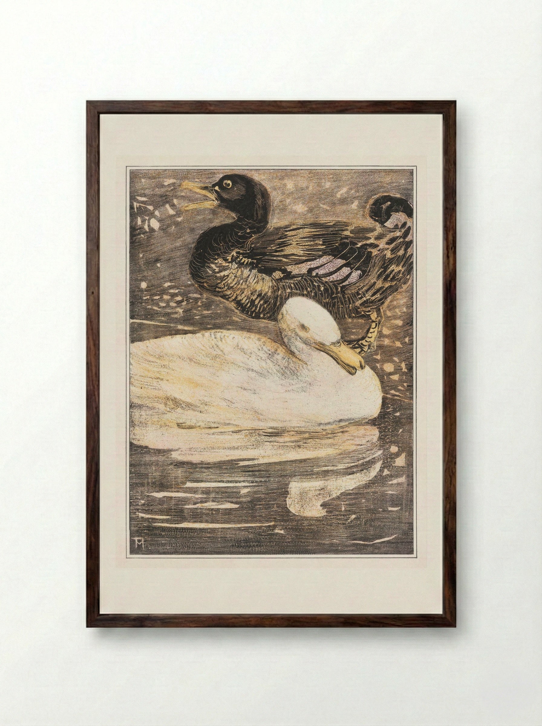 Two Ducks - Theo van Hoytema - Framed Print Dark Wood