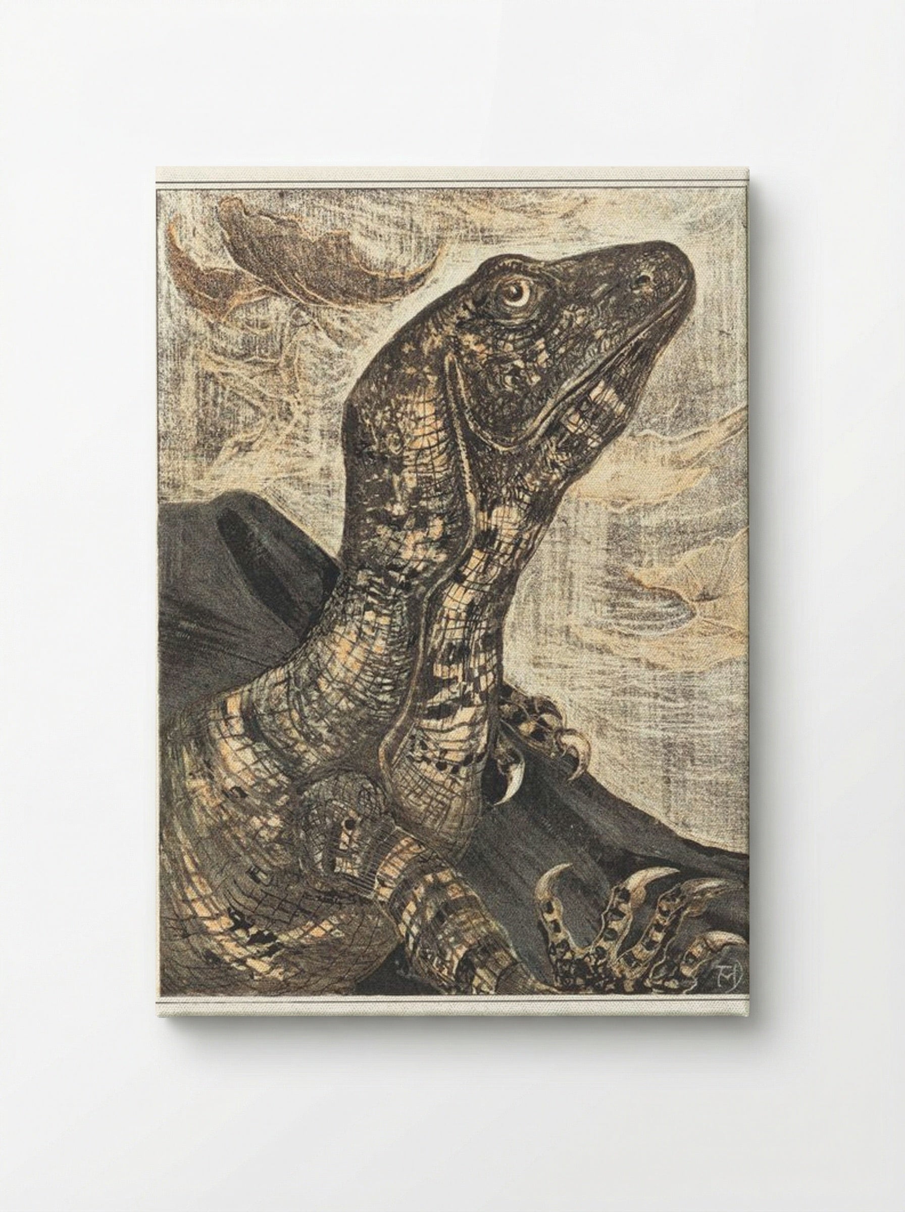 Leguaan (Monitor Lizard) - Theo van Hoytema - Canvas