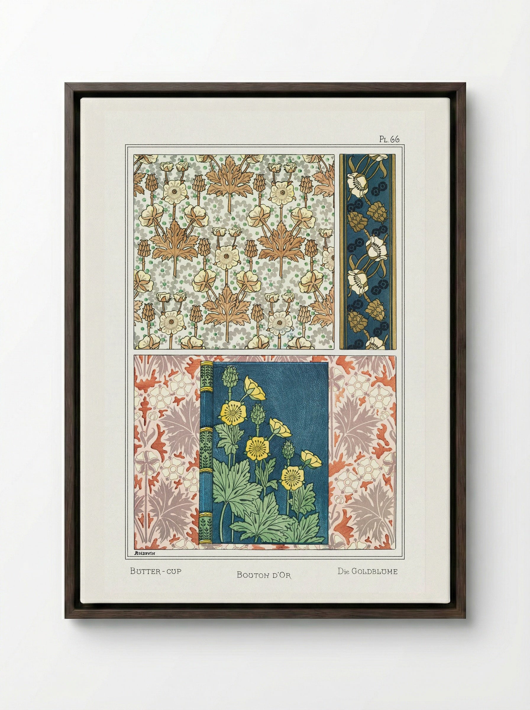 Bouton d'Or (Buttercup) from La Plante et ses Applications ornementales - Maurice Pillard Verneuil - Framed Canvas Dark Wood