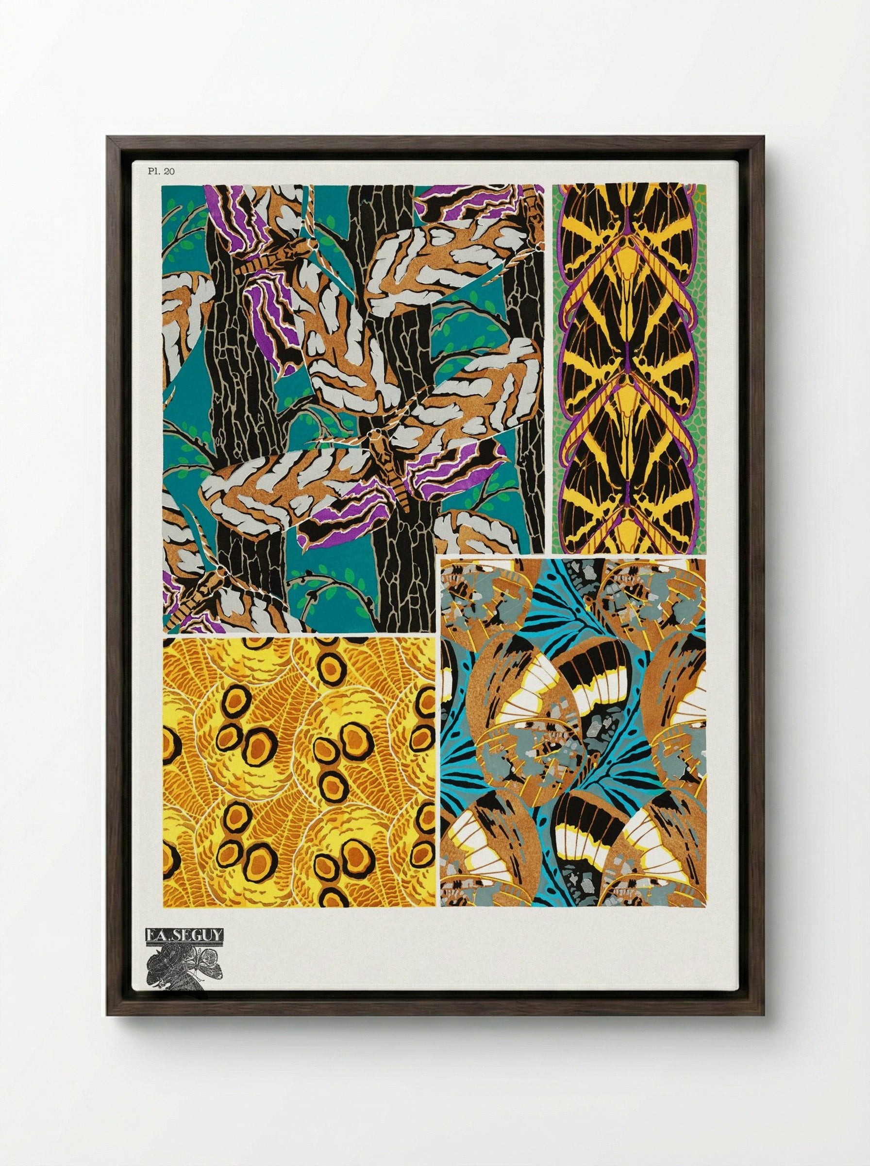Butterflies Pattern Plate (from Papillons) - Émile-Allain Séguy - Framed Canvas Dark Wood