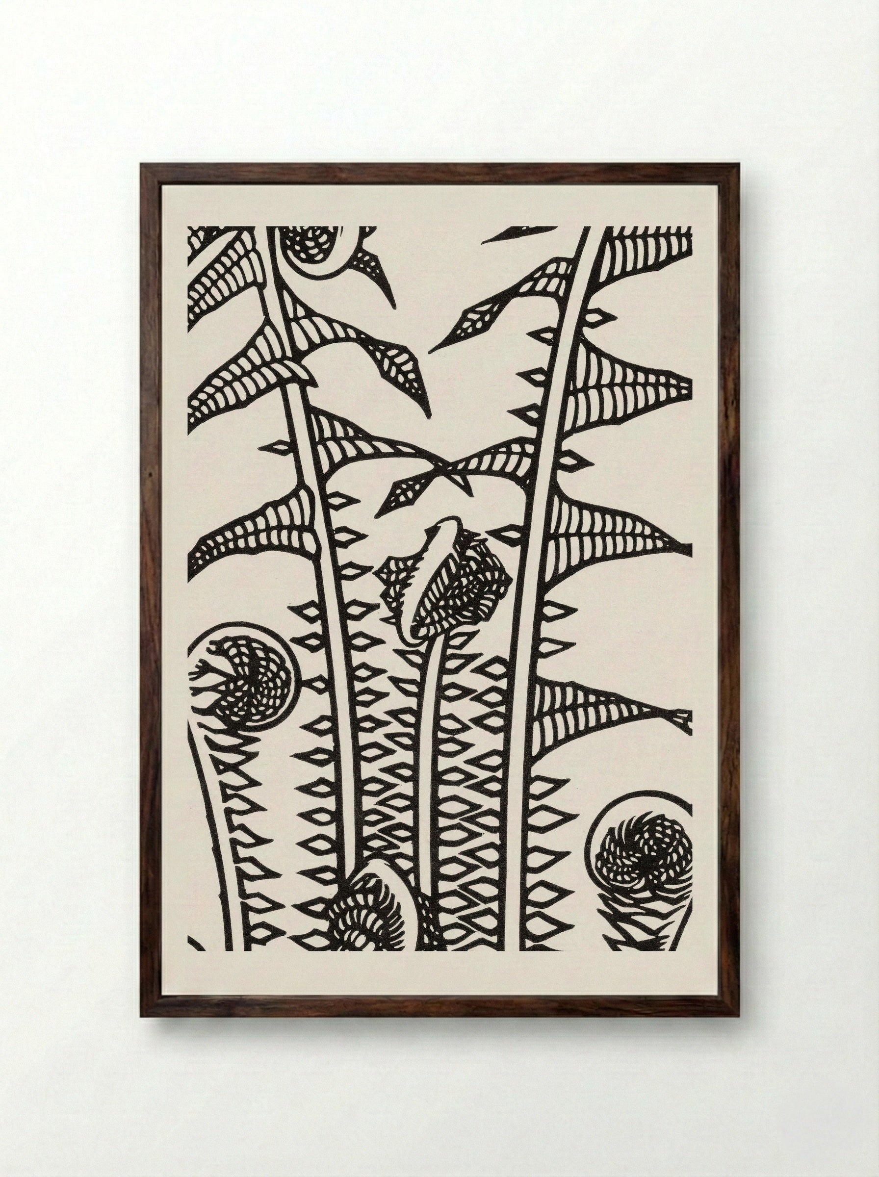 Ferns - Julie de Graag - Framed Print Dark Wood