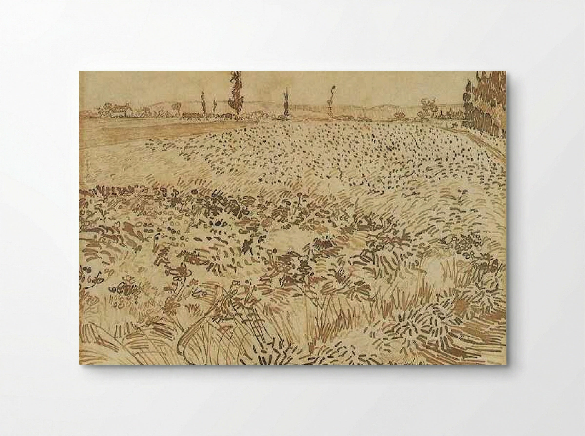 Wheatfield - Vincent van Gogh - Poster