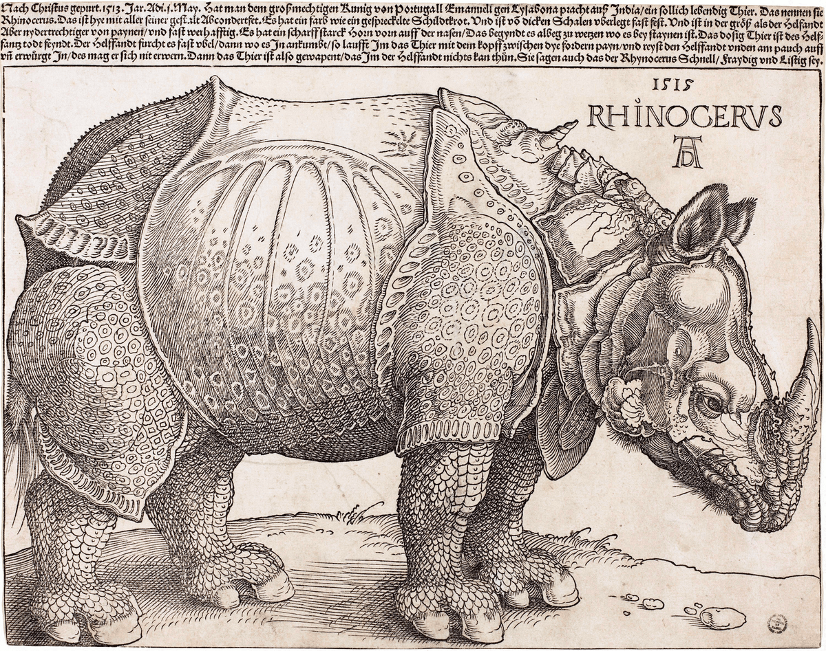 Albrecht Dürer, The Rhinoceros, 1515. Woodcut. National Gallery of Art, Washington.