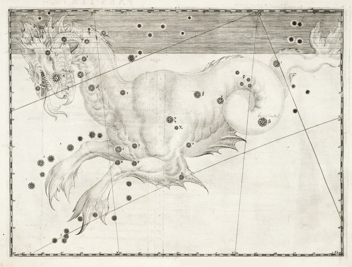 Uranometria — fol. 34 v, Cetus — 1603