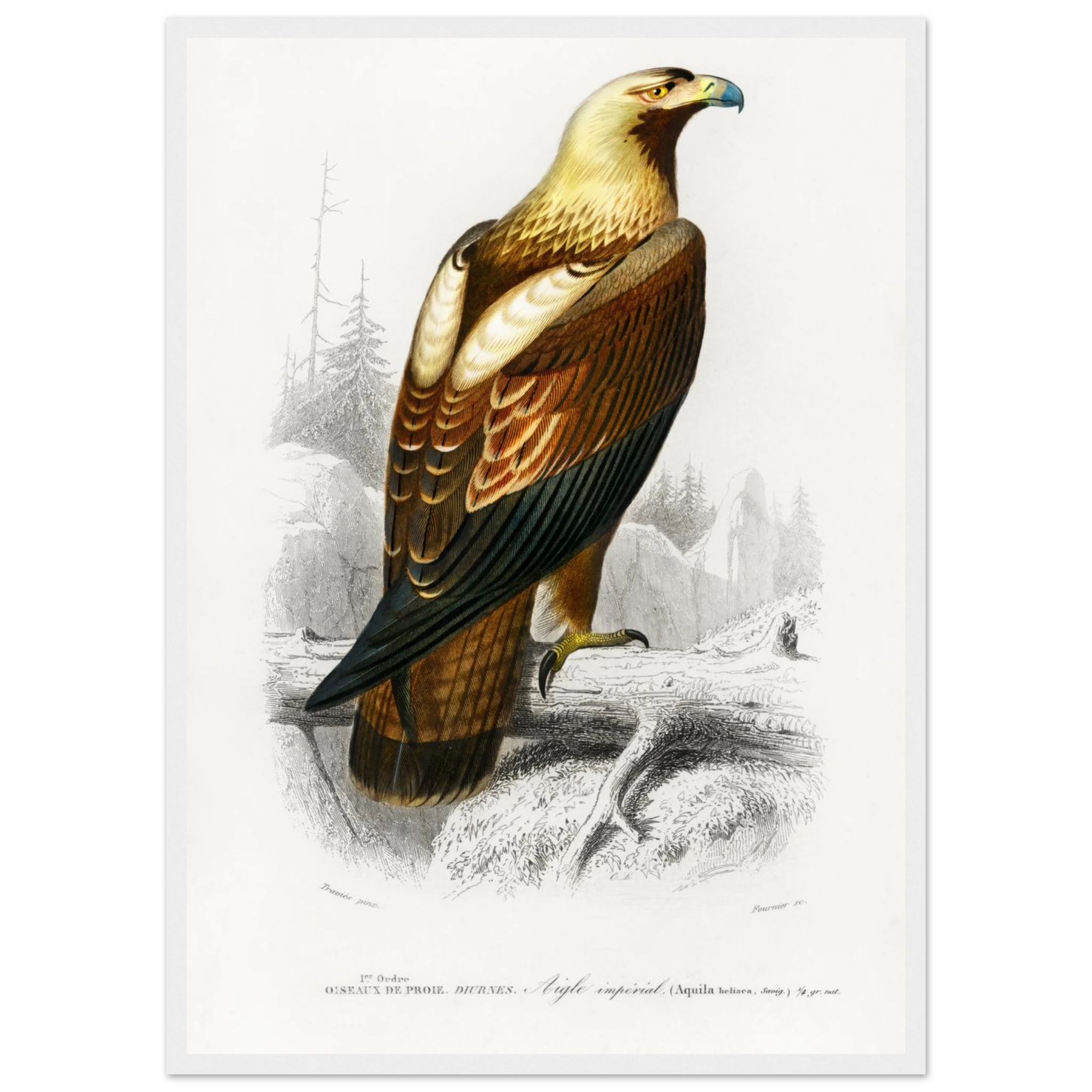 000d78a4-78ed-4307-bcdb-10eb112d5e38