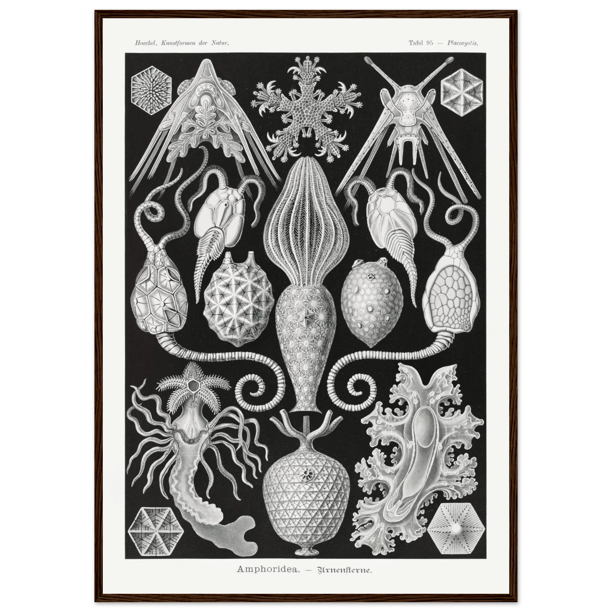 007d4958-20ed-47f6-88d2-9892583c57f9