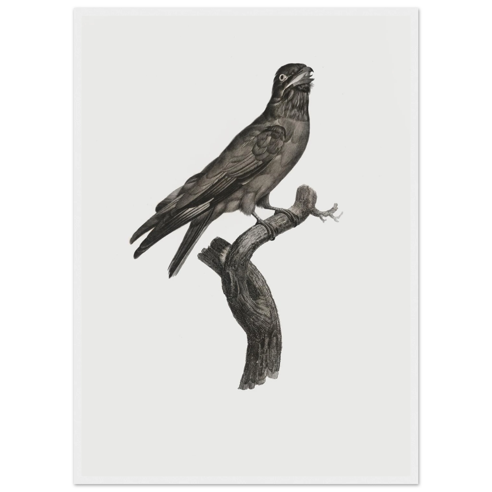 0103bcec-d042-49d8-a8e3-58ce2b3ba4bc