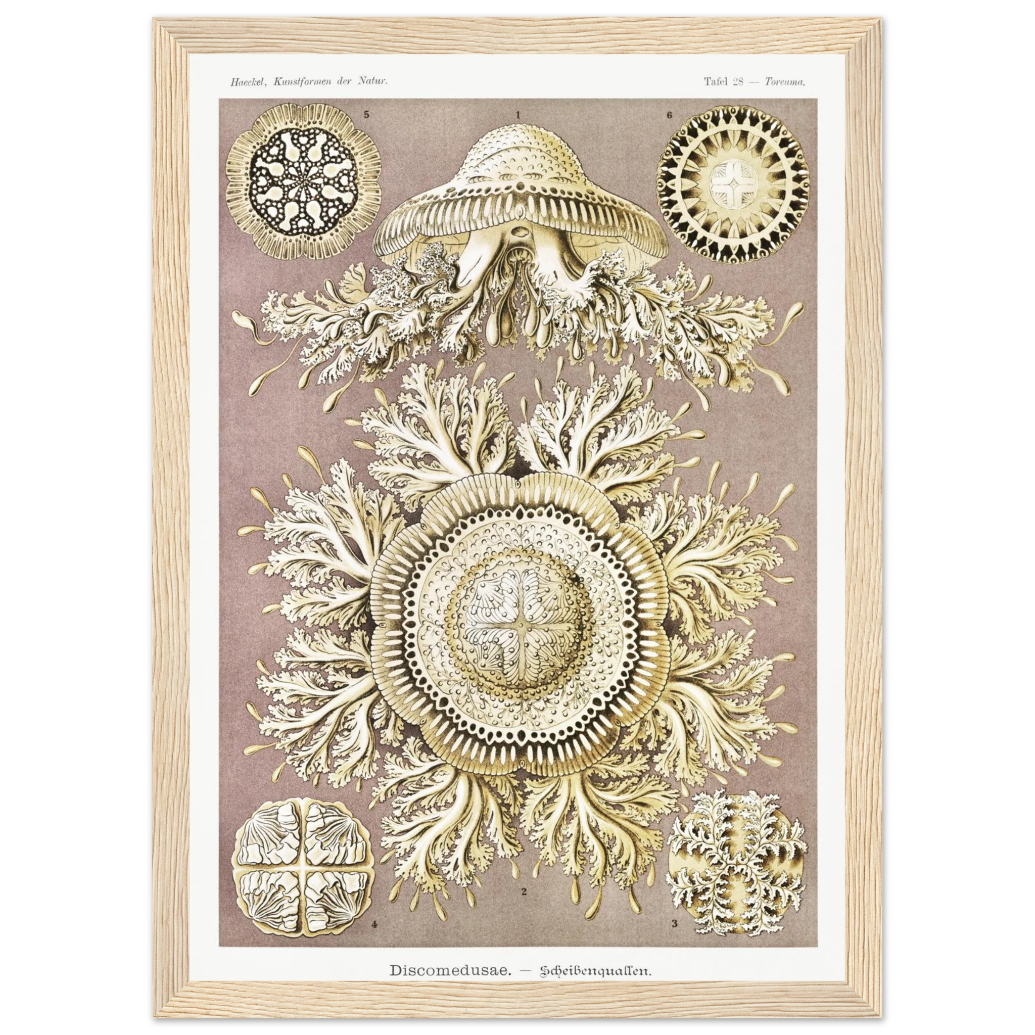 01054103-92cd-4ac5-9c0e-3bf06efff6f4