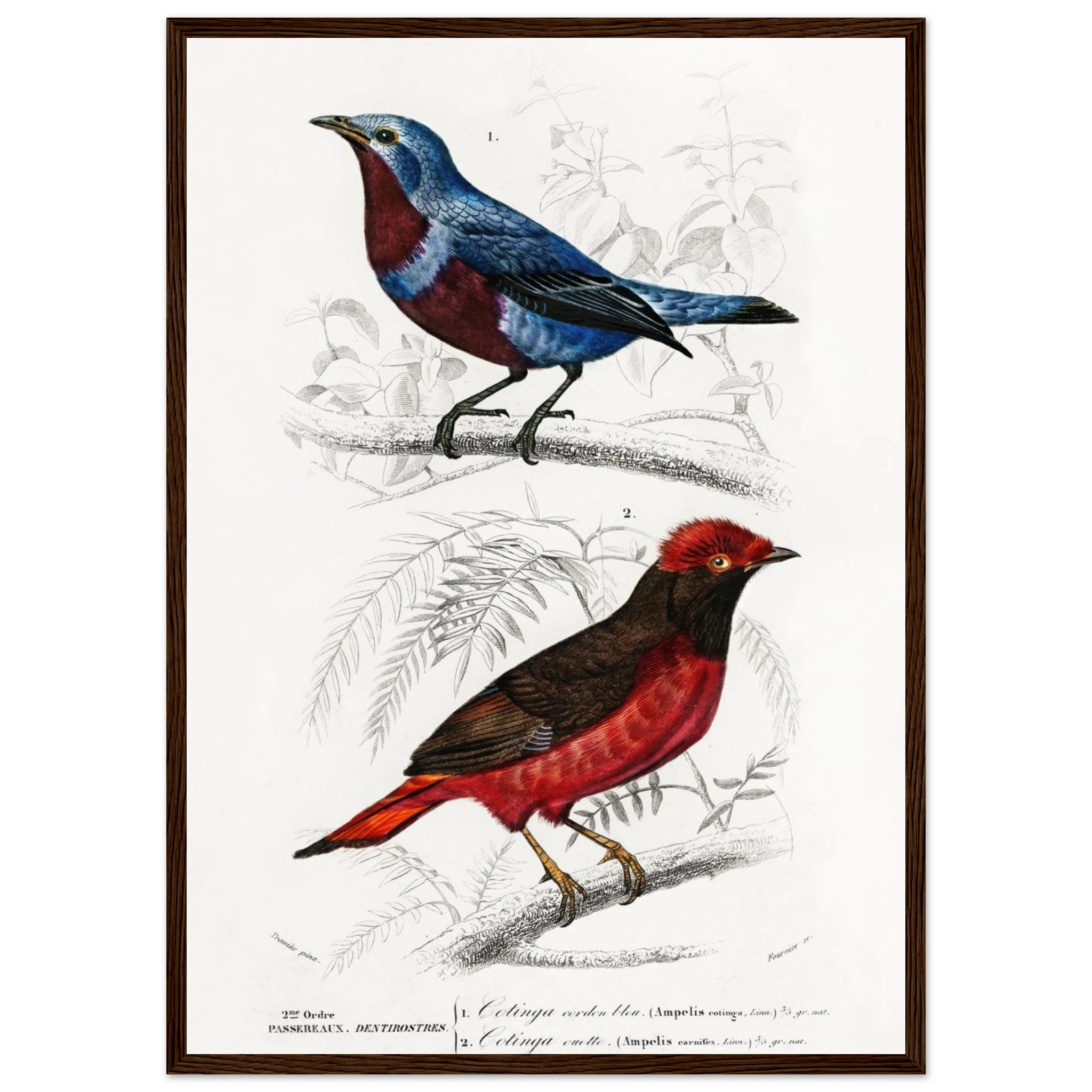 01420569-890d-4934-8ee6-04de45dd6372