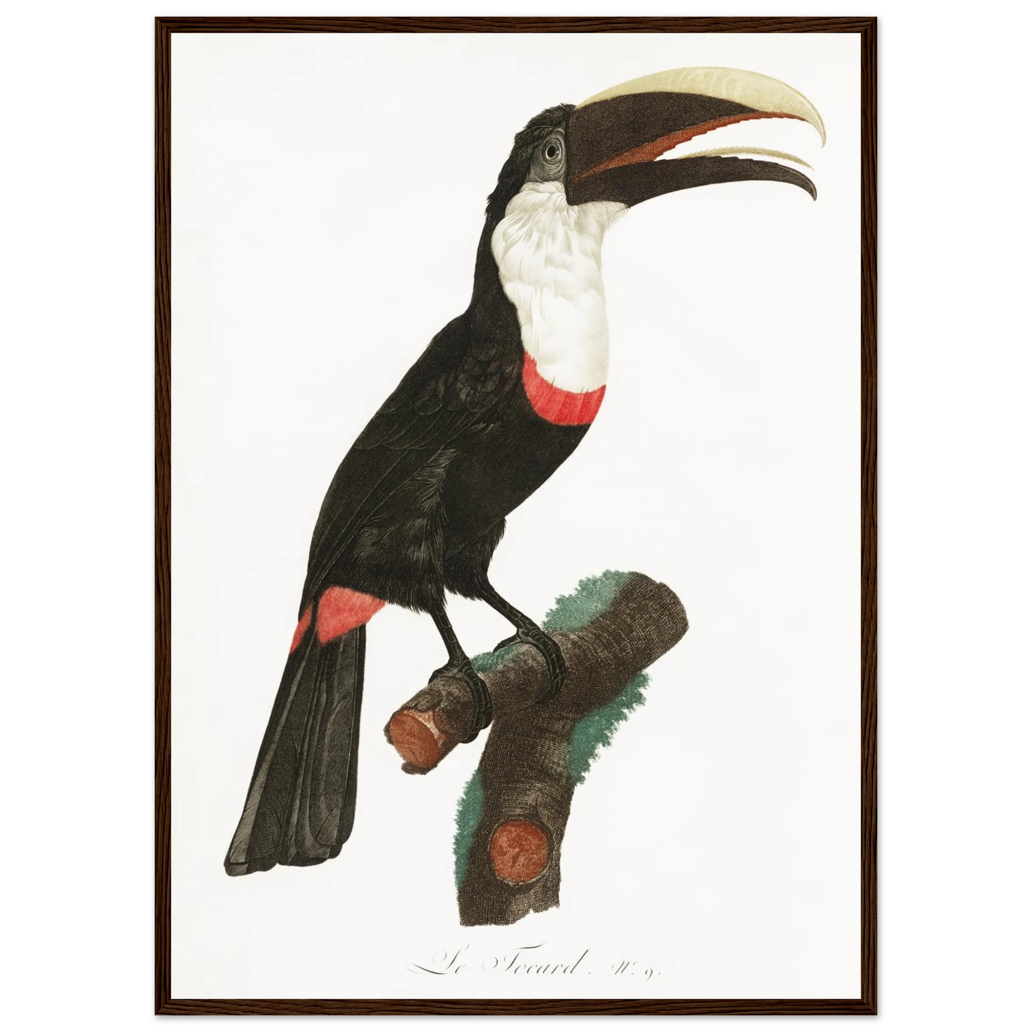 01742045-b129-4ebc-8886-14aa67a17d26