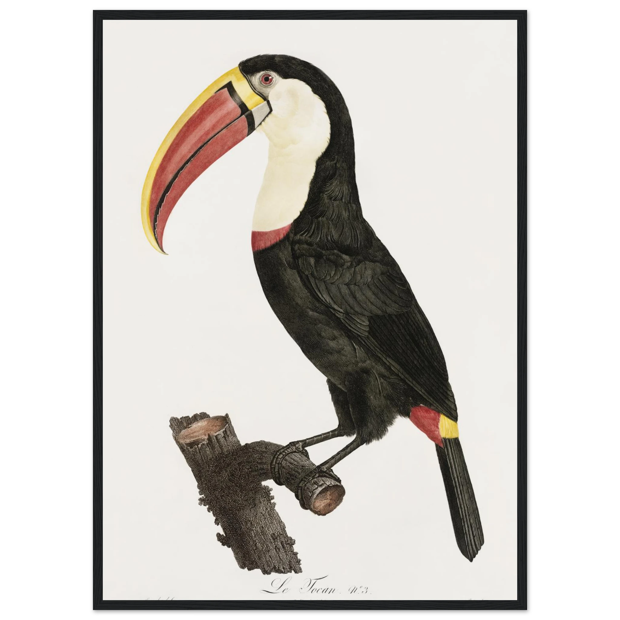 01cea430-6bc8-4ed9-9556-e2c9f76d7f22