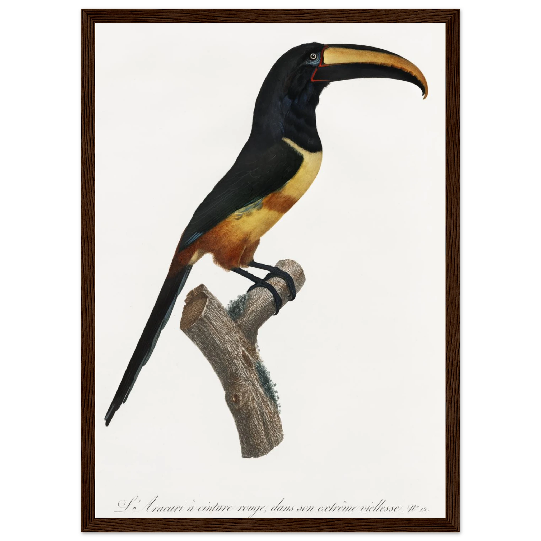 01de3a26-979c-4d9a-a742-8606882ad5cc