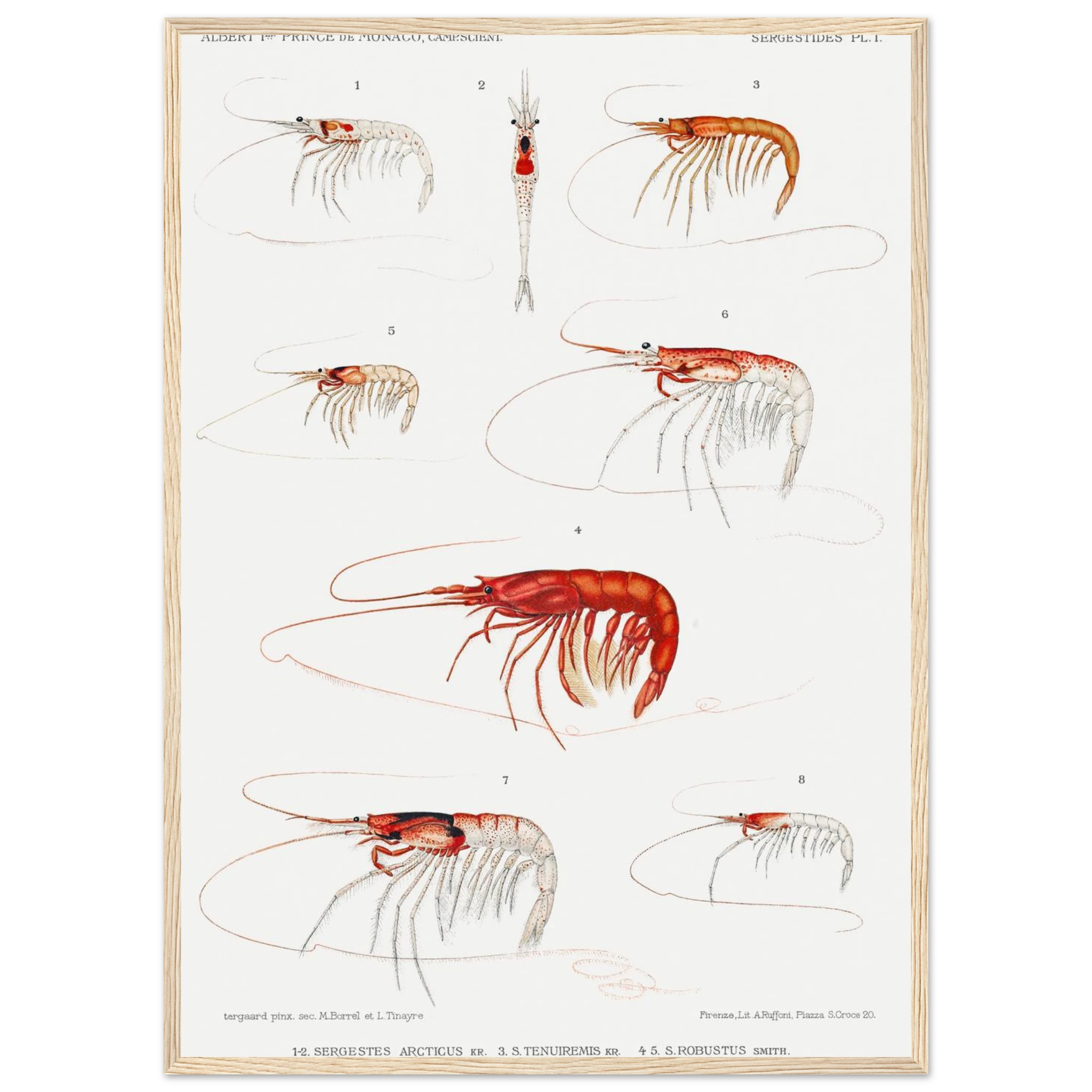 01f014e2-bff4-4ddd-8aac-777230361411