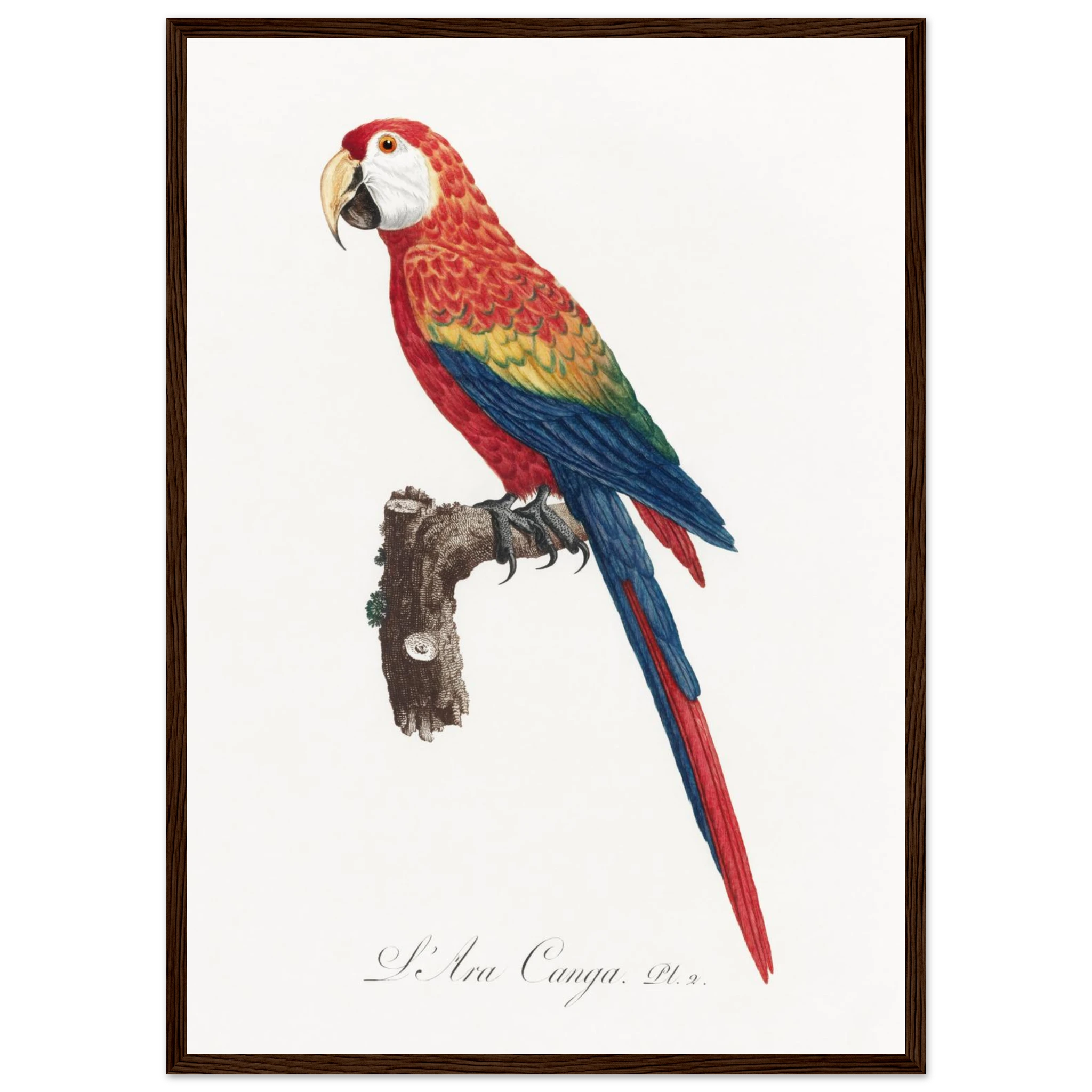 01fd466b-76c3-49ba-b77a-d6a9f3130acd